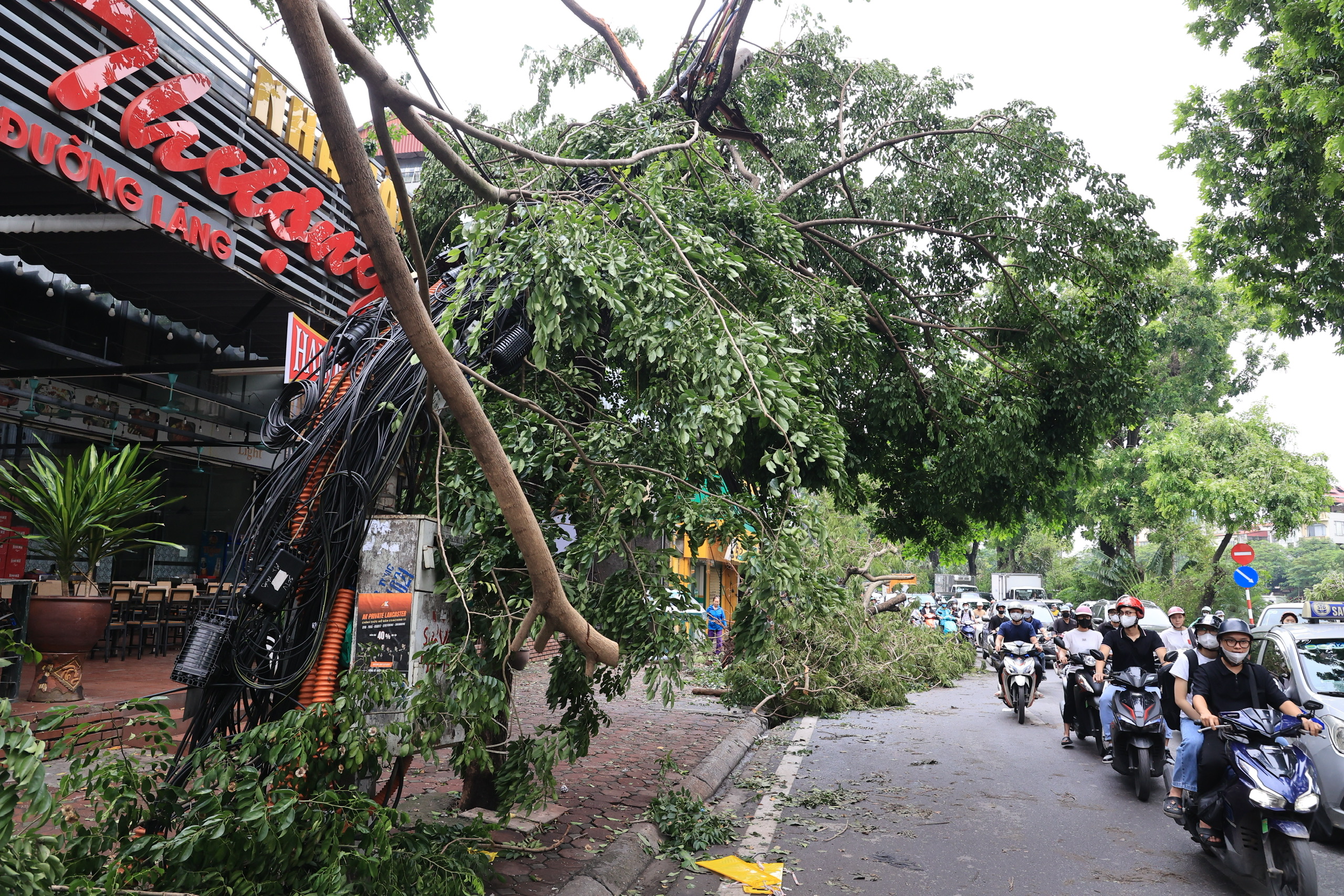 H&agrave; Nội: Nhiều tuyến phố vẫn ngổn ngang c&acirc;y đổ- Ảnh 12.