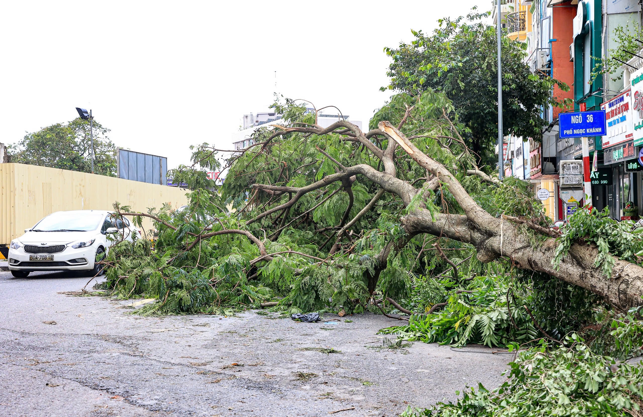 H&agrave; Nội: Nhiều tuyến phố vẫn ngổn ngang c&acirc;y đổ- Ảnh 13.