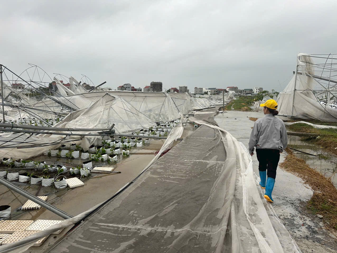 Cảnh kh&ocirc;ng điện, kh&ocirc;ng nước v&agrave; kh&ocirc;ng s&oacute;ng điện thoại hậu b&atilde;o số 3 Yagi ở Hải Dương- Ảnh 4.