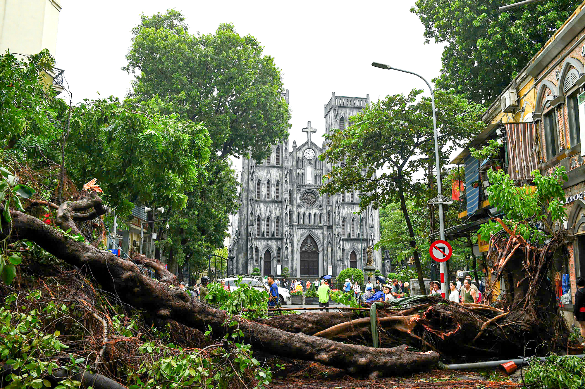 H&agrave; Nội: V&igrave; đ&acirc;u c&acirc;y xanh g&atilde;y đổ h&agrave;ng loạt sau b&atilde;o?- Ảnh 1.