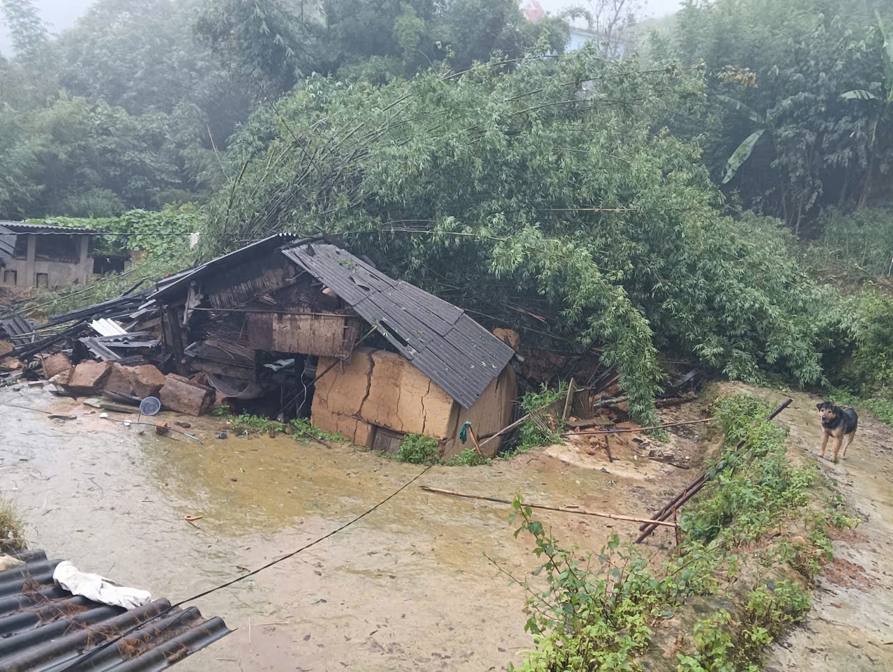 L&agrave;o Cai: Sạt lở đất v&ugrave;i lấp 4 hộ d&acirc;n, 7 người mất t&iacute;ch- Ảnh 1.