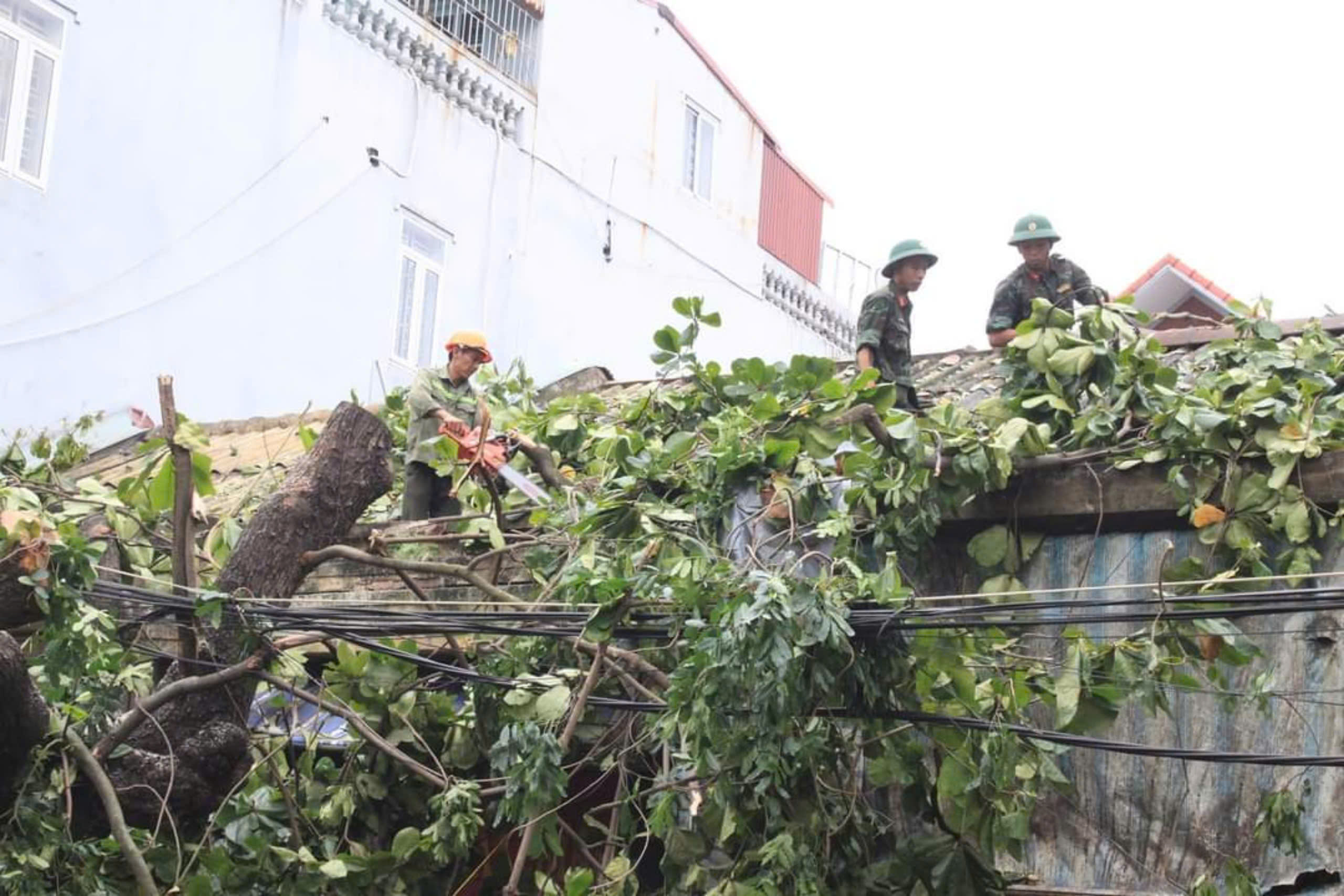 Hải Phòng: Các lực lượng vũ trang tham gia khắc phục hậu quả bão số 3- Ảnh 2. Hải Phòng: Các lực lượng vũ trang tham gia khắc phục hậu quả bão số 3- Ảnh 2.