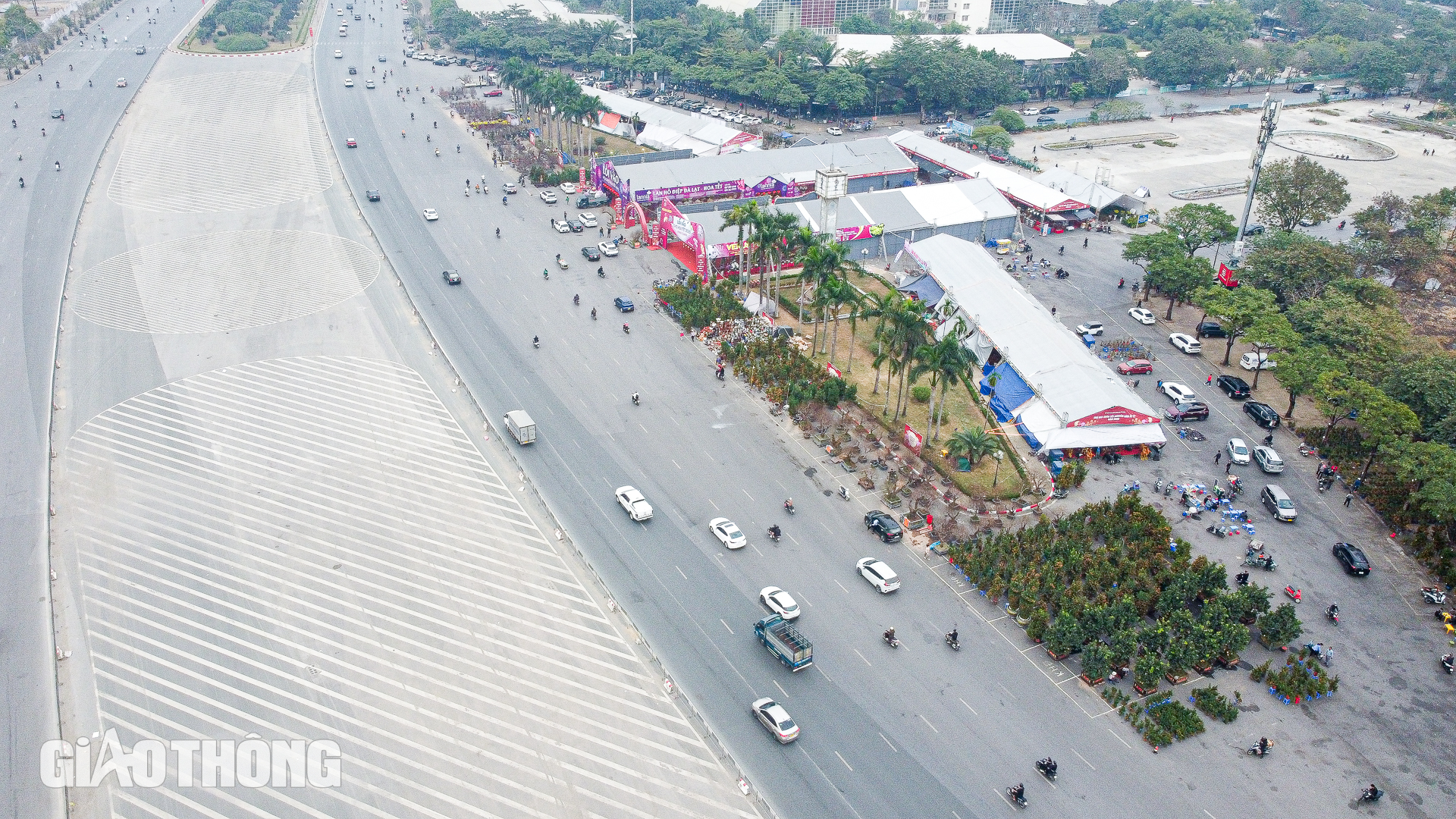 Cận cảnh chậu lan hồ điệp dát 20 lượng vàng, giá gần 4 tỷ đồng ở Hà Nội- Ảnh 1. Cận cảnh chậu lan hồ điệp dát 20 lượng vàng, giá gần 4 tỷ đồng ở Hà Nội- Ảnh 1.