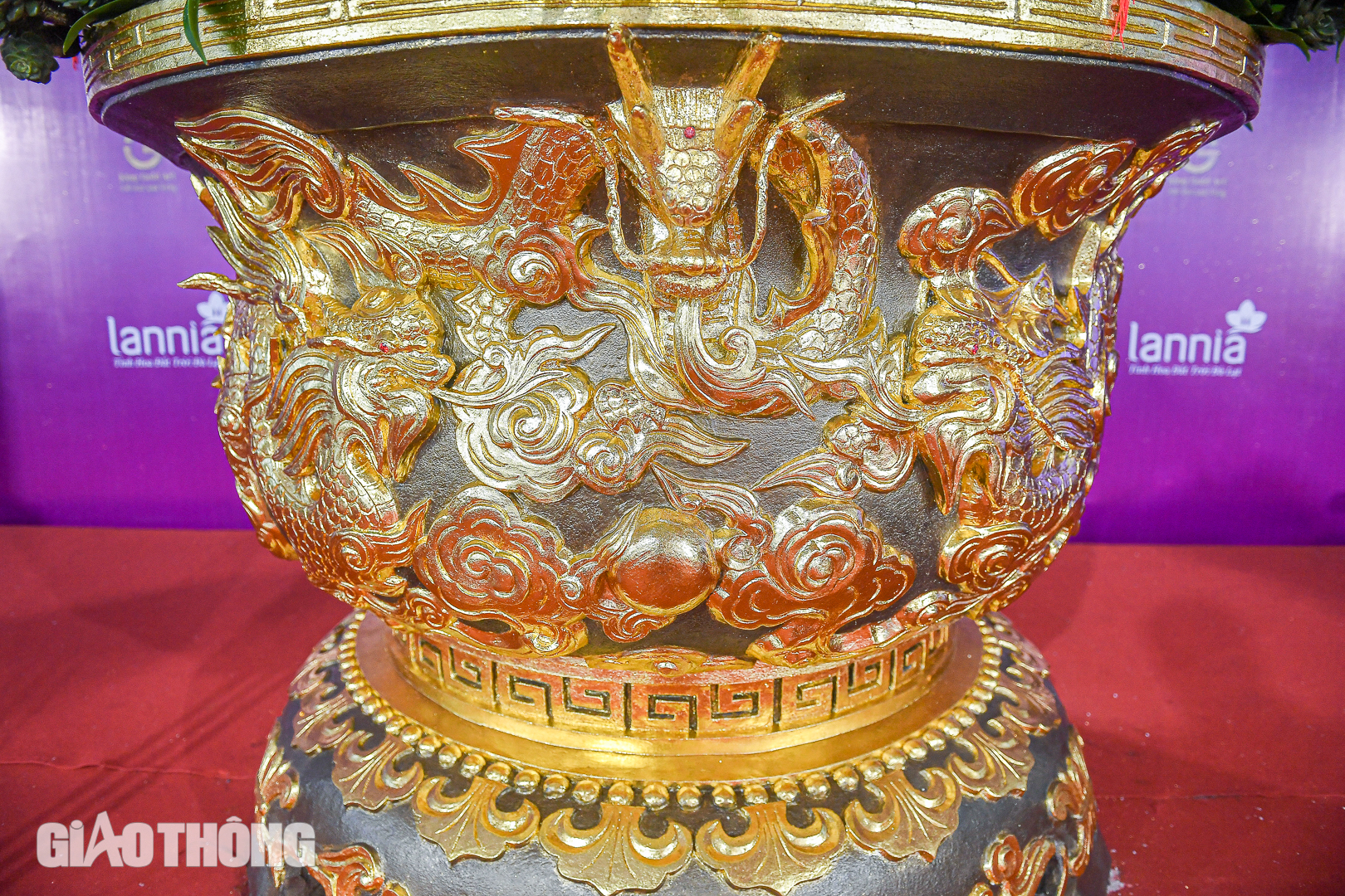 Cận cảnh chậu lan hồ điệp dát 20 lượng vàng, giá gần 4 tỷ đồng ở Hà Nội- Ảnh 8. Cận cảnh chậu lan hồ điệp dát 20 lượng vàng, giá gần 4 tỷ đồng ở Hà Nội- Ảnh 8.