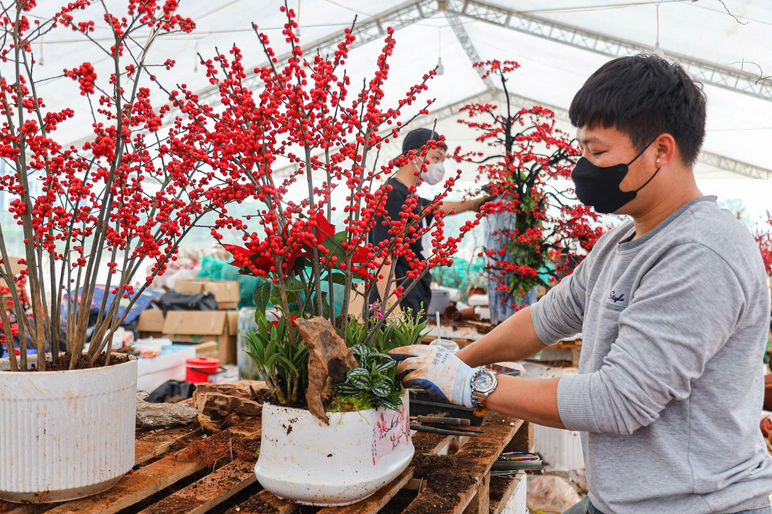 Đ&agrave;o đ&ocirc;ng lần đầu xuống phố H&agrave; Nội, c&oacute; chậu gi&aacute; h&agrave;ng trăm triệu đồng- Ảnh 7.