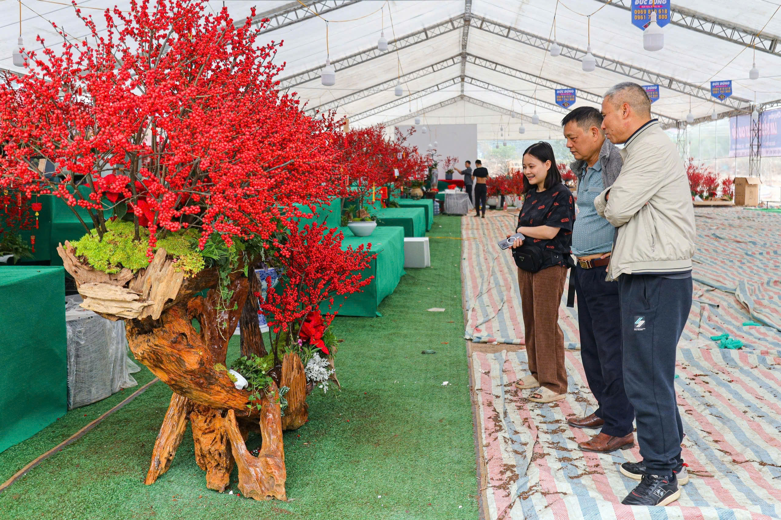 Đ&agrave;o đ&ocirc;ng lần đầu xuống phố H&agrave; Nội, c&oacute; chậu gi&aacute; h&agrave;ng trăm triệu đồng- Ảnh 10.