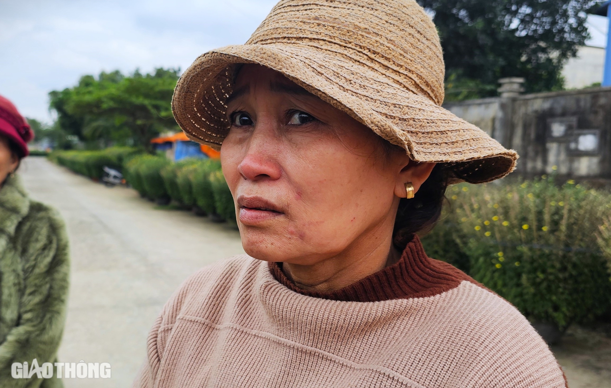 B&igrave;nh Định: H&agrave;ng trăm chậu c&uacute;c chết bất thường ngay trước Tết, người d&acirc;n kh&oacute;c r&ograve;ng- Ảnh 4.