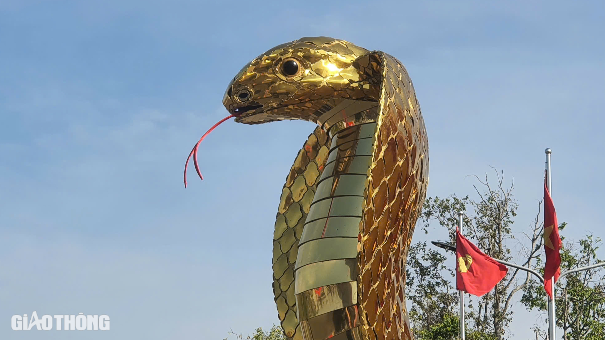 Cận cảnh linh vật rắn v&agrave;ng rực ở Bạc Li&ecirc;u- Ảnh 3.