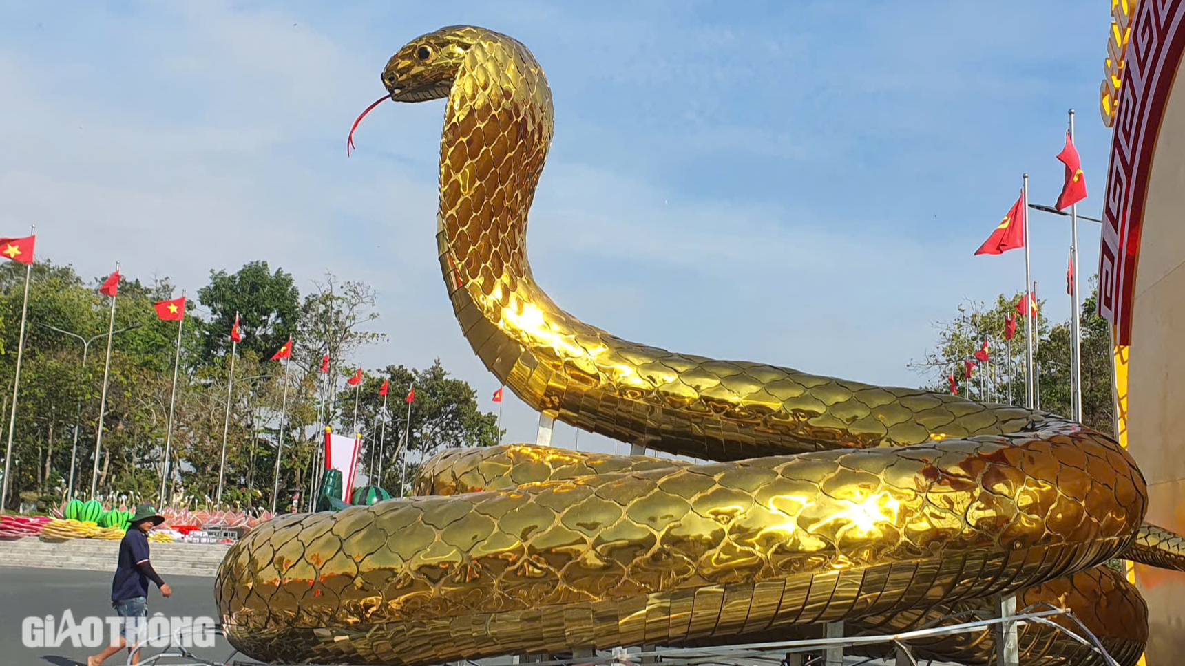 Cận cảnh linh vật rắn v&agrave;ng rực ở Bạc Li&ecirc;u- Ảnh 2.