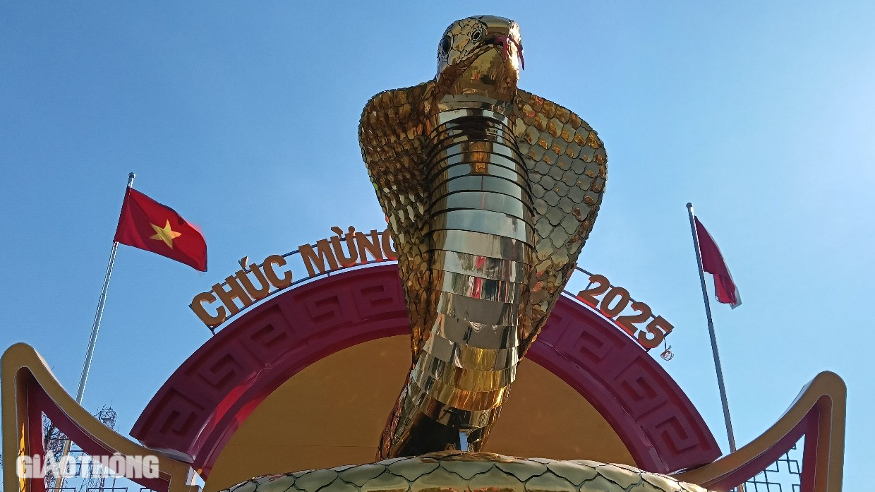 Cận cảnh linh vật rắn v&agrave;ng rực ở Bạc Li&ecirc;u- Ảnh 4.