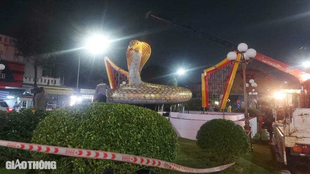 Cận cảnh linh vật rắn v&agrave;ng rực ở Bạc Li&ecirc;u- Ảnh 6.