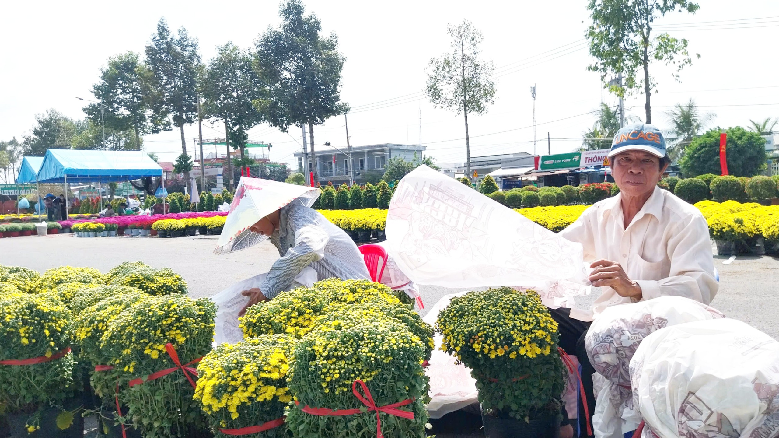 Làng hoa Sa Đéc rộn ràng đón xuân- Ảnh 12. Làng hoa Sa Đéc rộn ràng đón xuân- Ảnh 12.