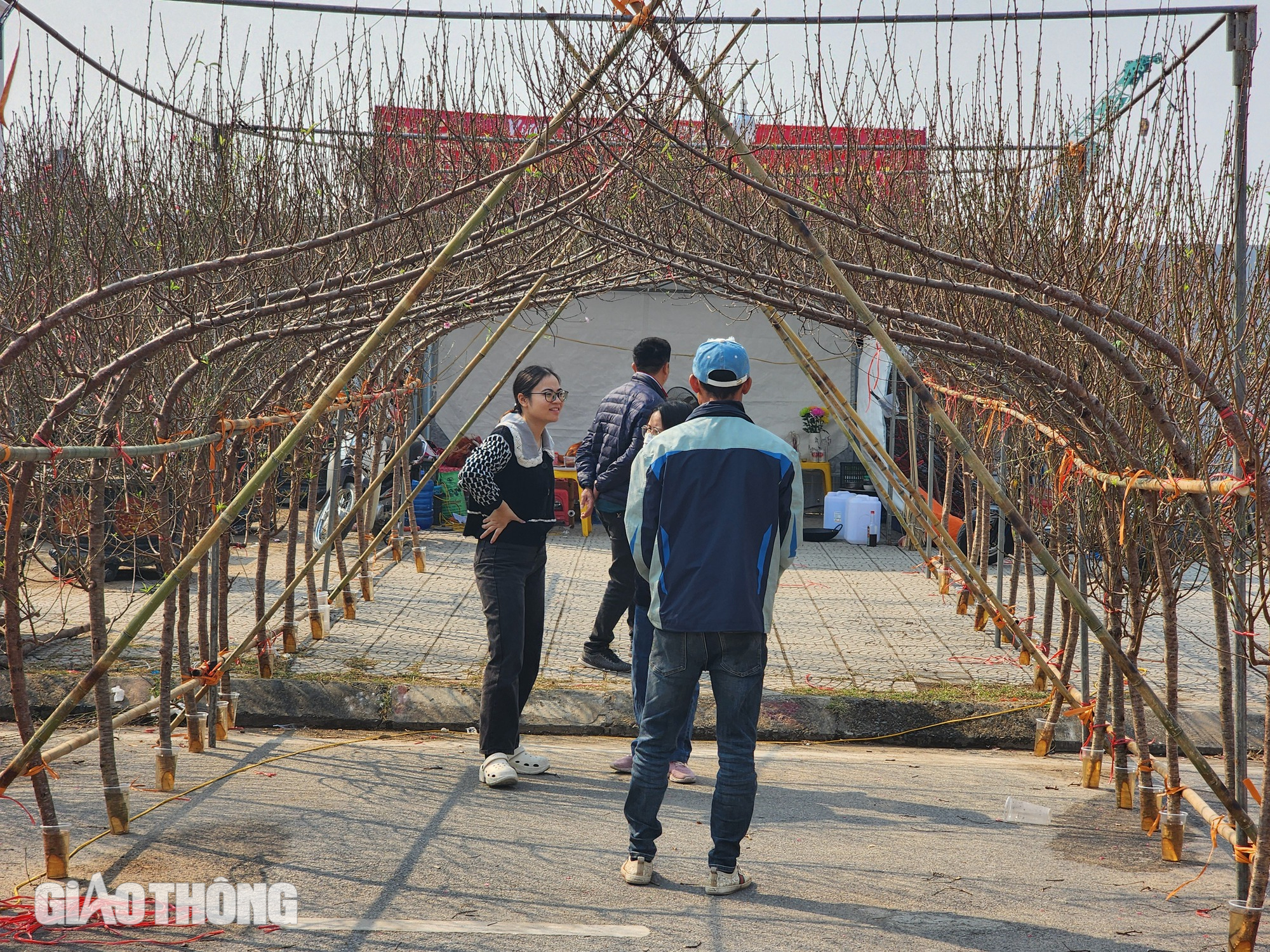 Cận cảnh cặp linh vật "b&eacute; Na" mũm mĩm tại Ph&uacute; Thọ g&acirc;y x&ocirc;n xao cộng đồng mạng- Ảnh 11.