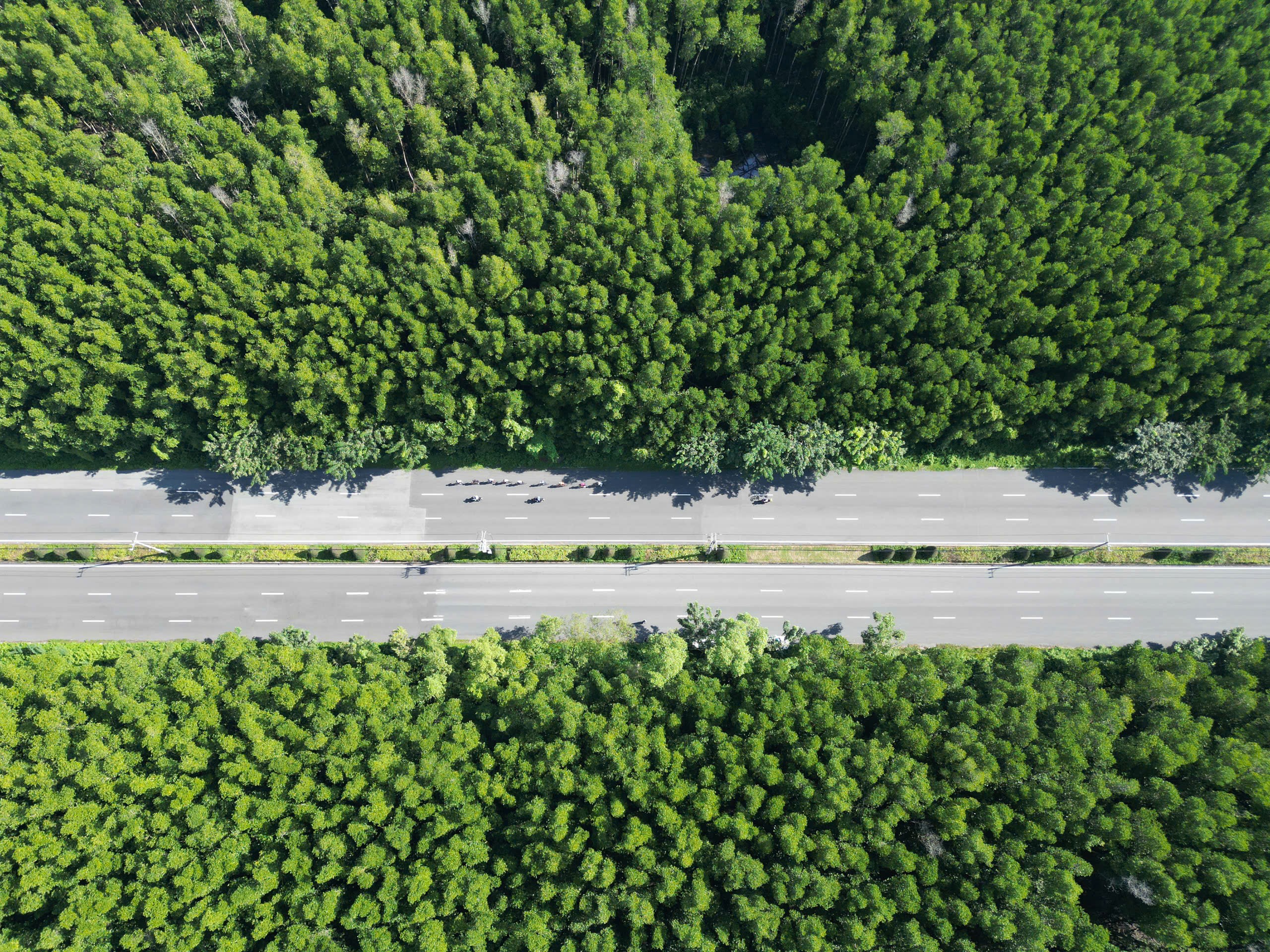 Một tập đo&agrave;n đề xuất tự lo chi ph&iacute; nghi&ecirc;n cứu tuyến metro kết nối huyện Cần Giờ- Ảnh 1.