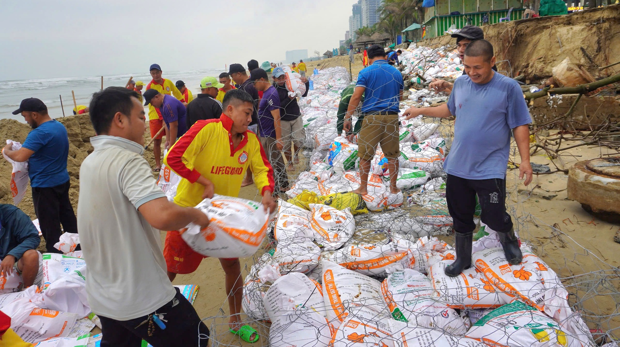 H&agrave;ng trăm người dựng k&egrave; ngăn sạt lở "b&atilde;i biển quyến rũ nhất h&agrave;nh tinh"- Ảnh 2.