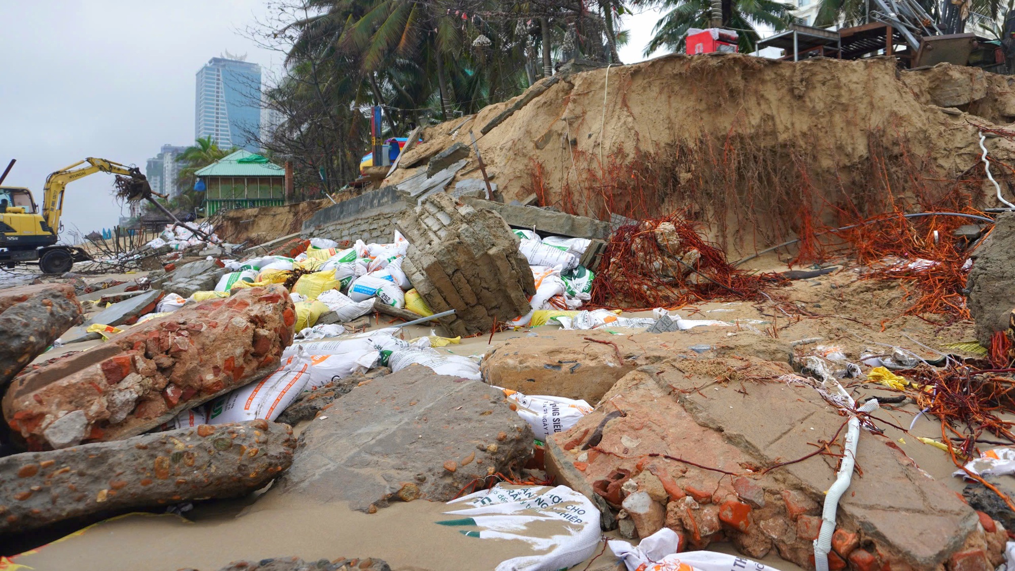 H&agrave;ng trăm người dựng k&egrave; ngăn sạt lở "b&atilde;i biển quyến rũ nhất h&agrave;nh tinh"- Ảnh 3.