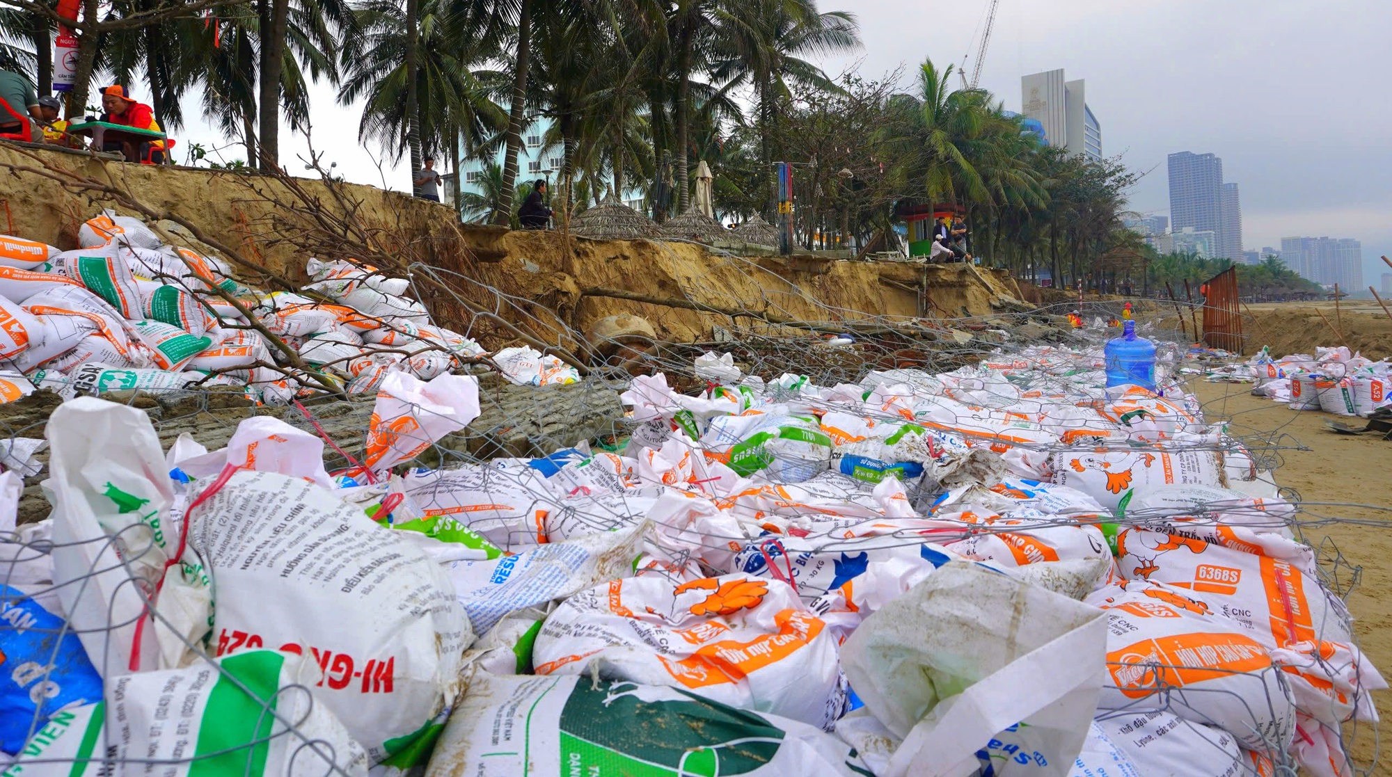 H&agrave;ng trăm người dựng k&egrave; ngăn sạt lở "b&atilde;i biển quyến rũ nhất h&agrave;nh tinh"- Ảnh 8.