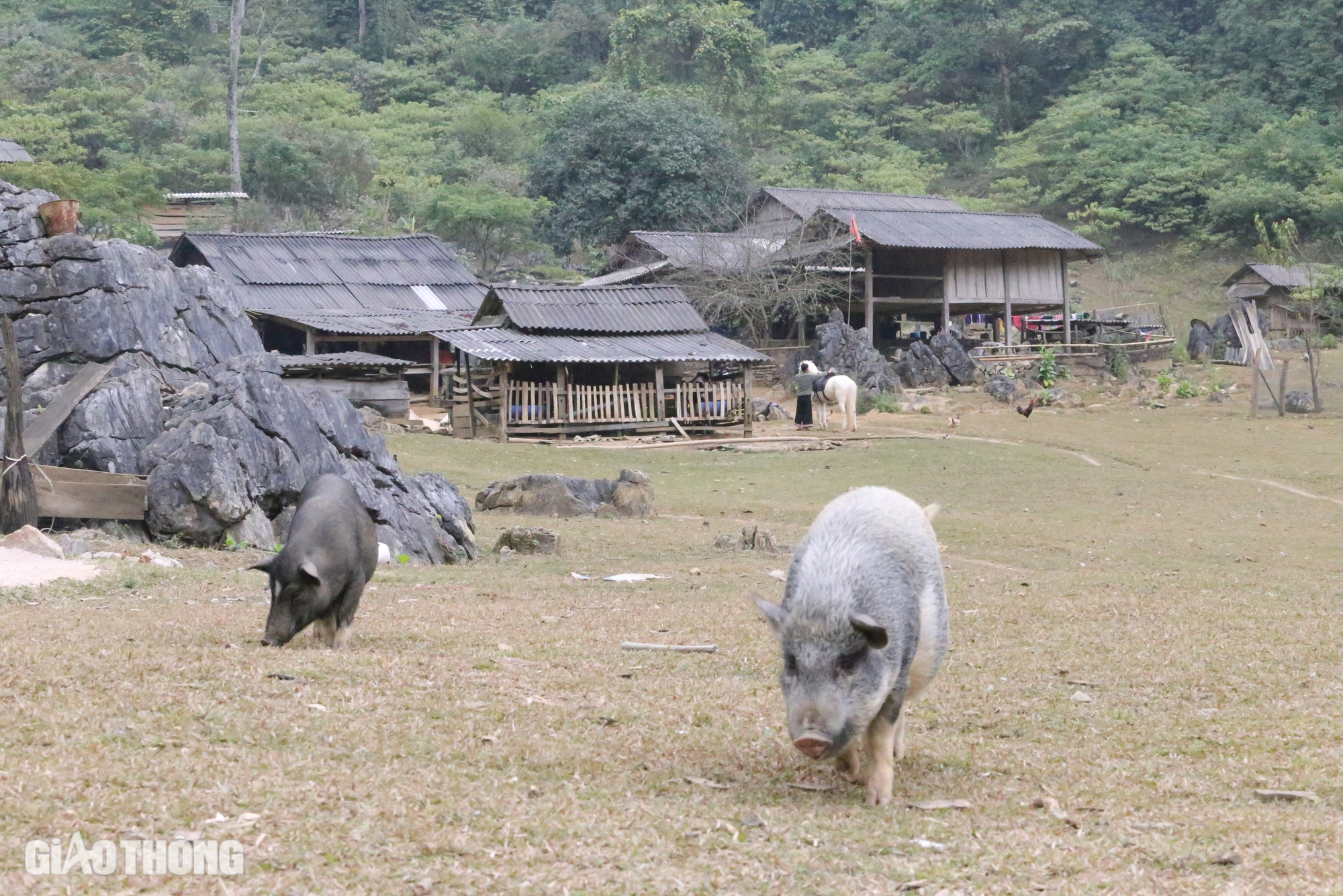 Khám phá vẻ đẹp lạ kỳ “làng nguyên thủy” ở cao nguyên Mộc Châu- Ảnh 8. Khám phá vẻ đẹp lạ kỳ “làng nguyên thủy” ở cao nguyên Mộc Châu- Ảnh 8.