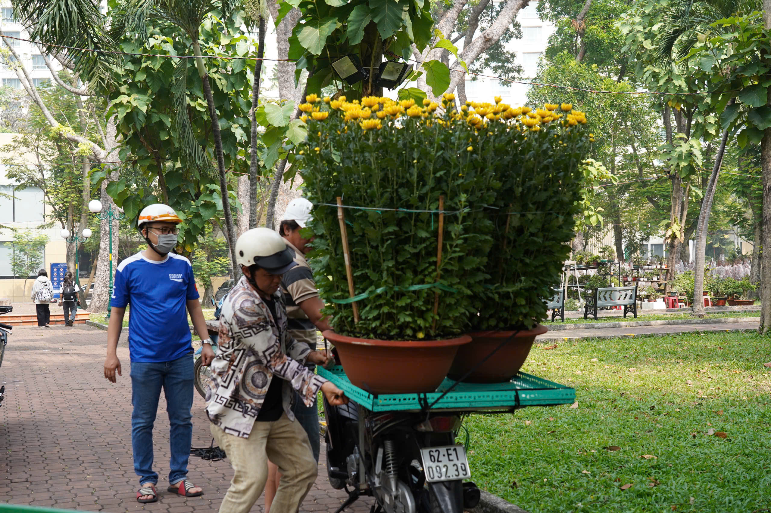 TP.HCM: Mai, đ&agrave;o, c&uacute;c xếp h&agrave;ng chờ chủ nh&acirc;n đ&oacute;n về chơi Tết- Ảnh 13.