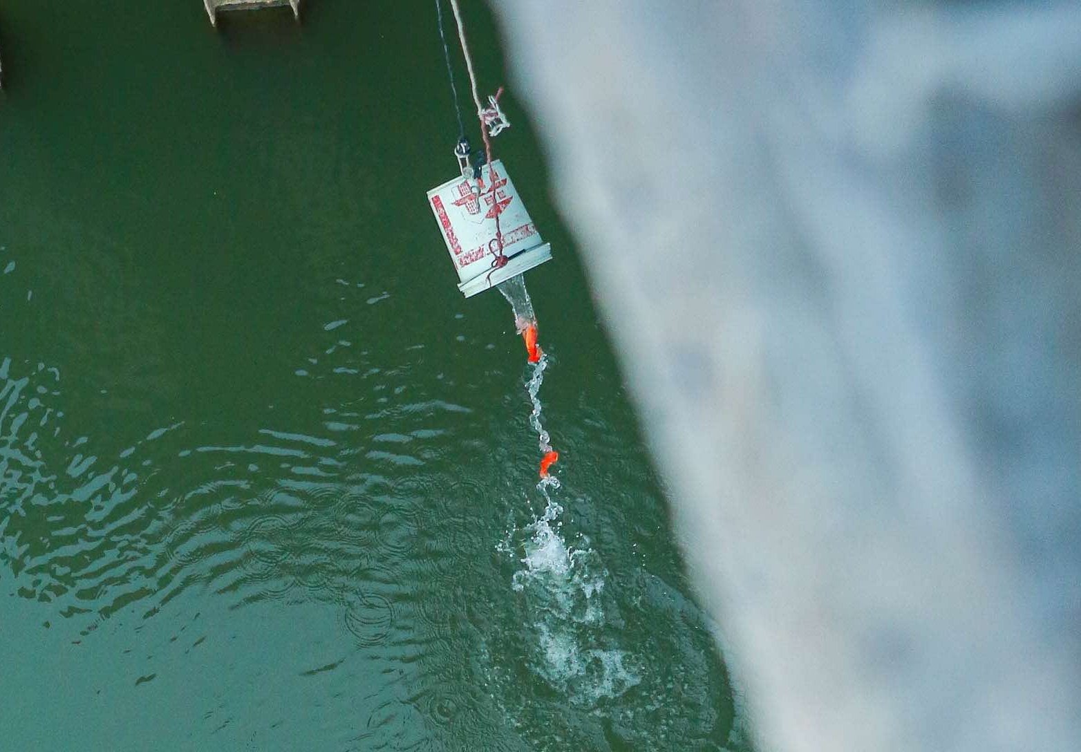 Hà Nội: Lan tỏa thông điệp "Thả cá, đừng thả túi nilon" ngày ông Táo về trời- Ảnh 4. Hà Nội: Lan tỏa thông điệp "Thả cá, đừng thả túi nilon" ngày ông Táo về trời- Ảnh 4.