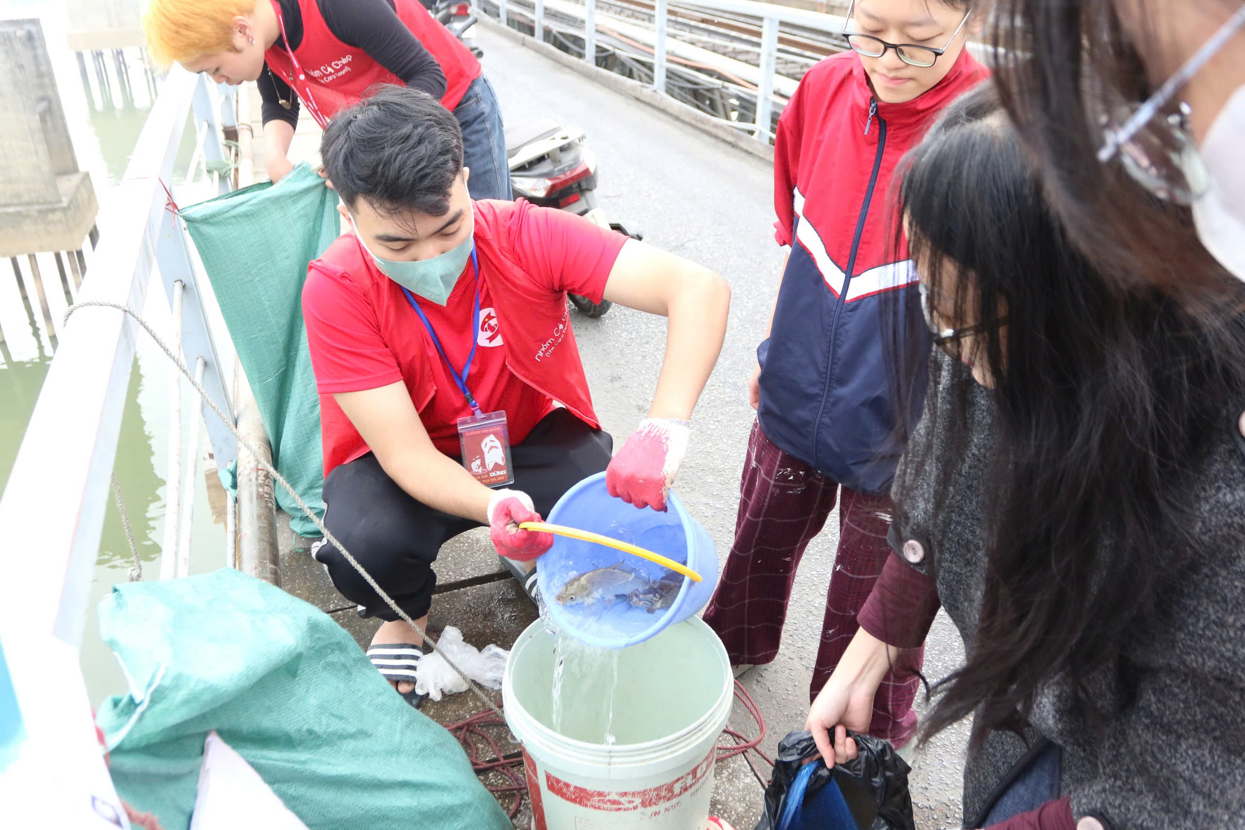 Hà Nội: Lan tỏa thông điệp "Thả cá, đừng thả túi nilon" ngày ông Táo về trời- Ảnh 3. Hà Nội: Lan tỏa thông điệp "Thả cá, đừng thả túi nilon" ngày ông Táo về trời- Ảnh 3.