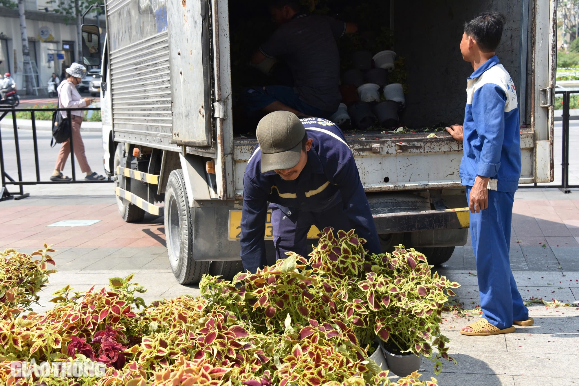 Cặp rắn Kim Tỵ - Ng&acirc;n Tỵ ở đường hoa Nguyễn Huệ c&oacute; g&igrave; đặc biệt?- Ảnh 22.