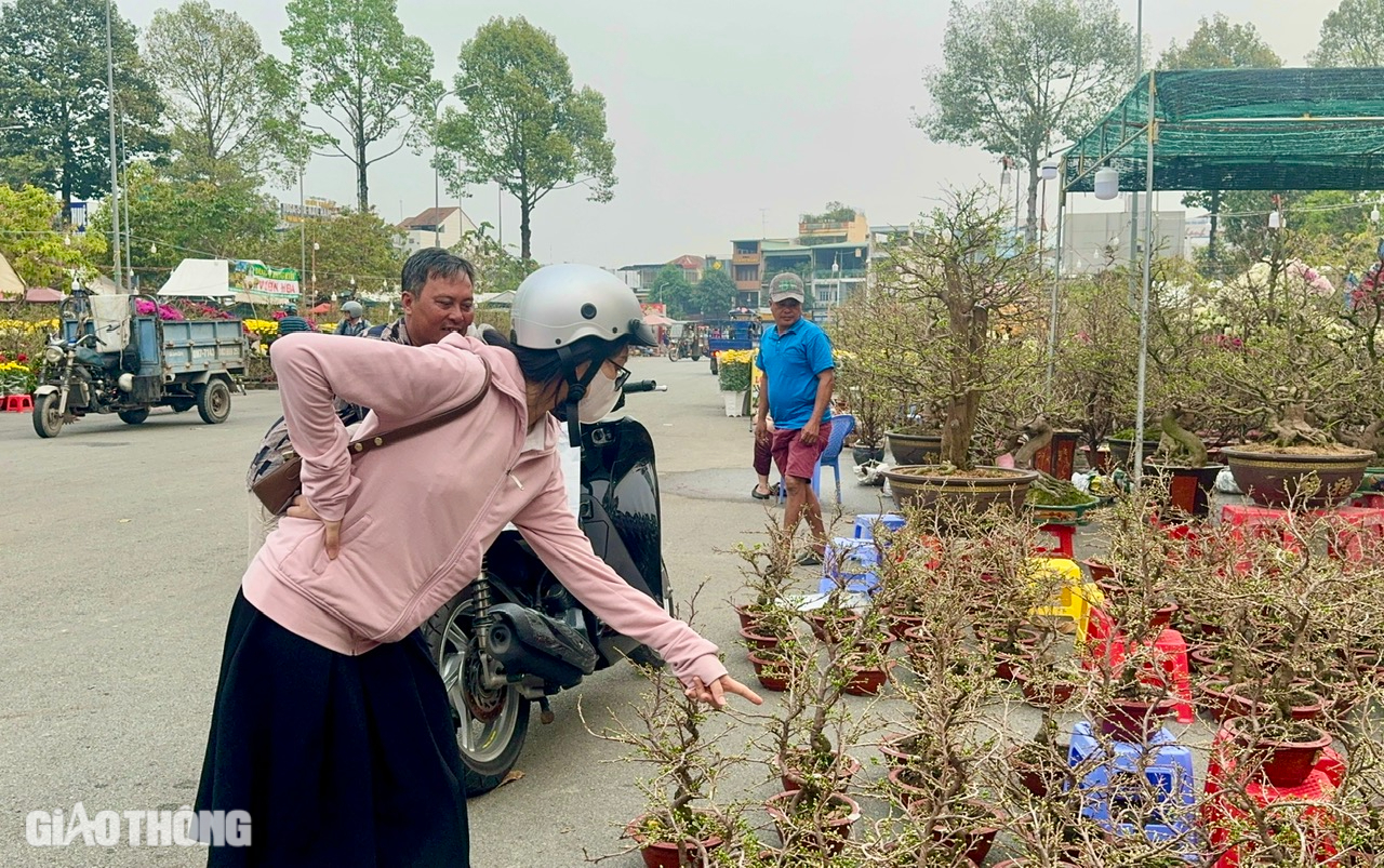 Chợ hoa Đồng Nai: Người xem đ&ocirc;ng, người mua &iacute;t- Ảnh 3.