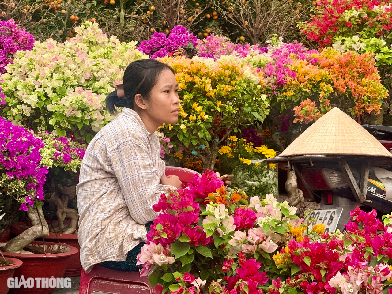 Chợ hoa Đồng Nai: Người xem đ&ocirc;ng, người mua &iacute;t- Ảnh 8.