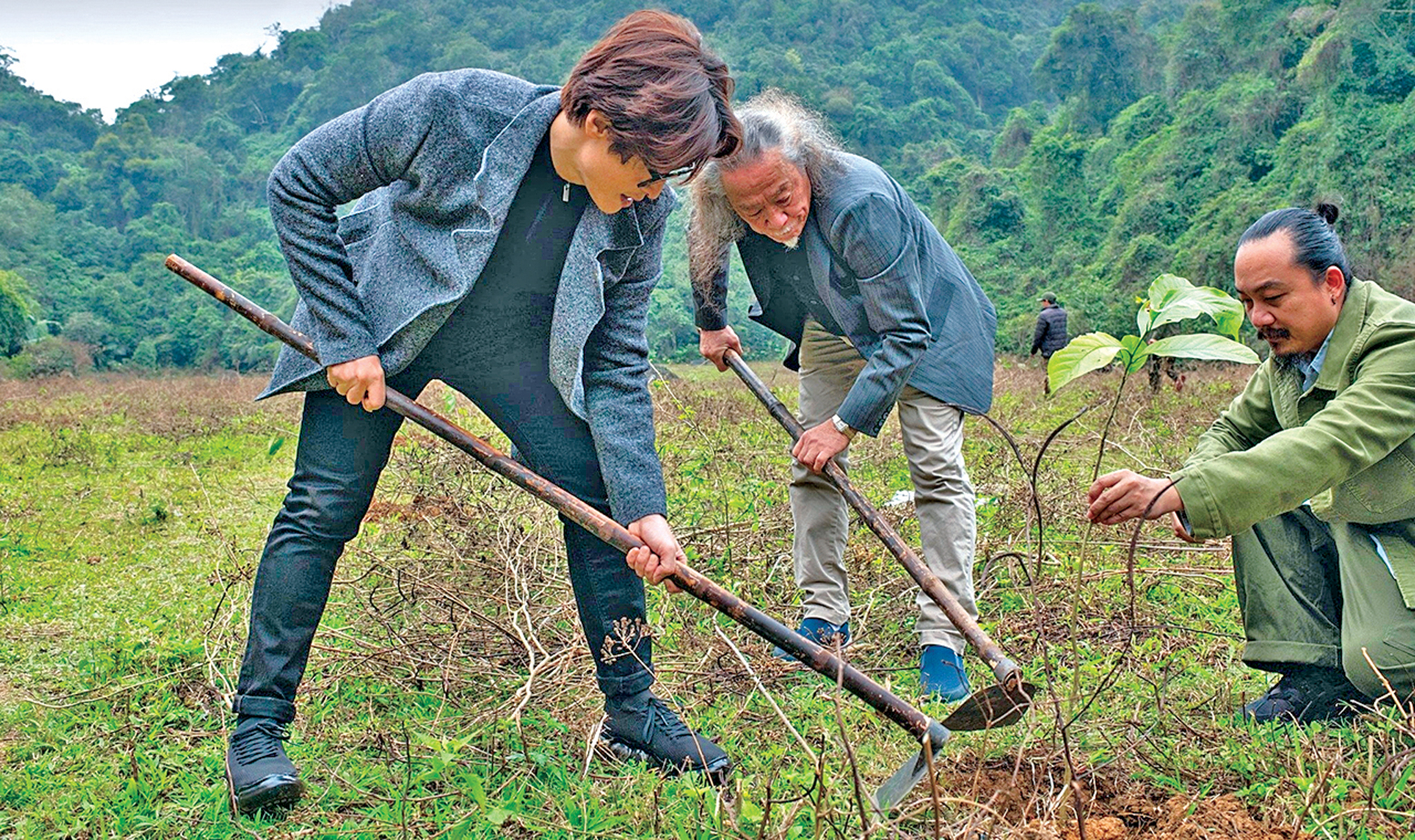 Khi hoa hậu, ca sĩ bỏ tiền t&uacute;i trồng rừng, dọn r&aacute;c- Ảnh 4.