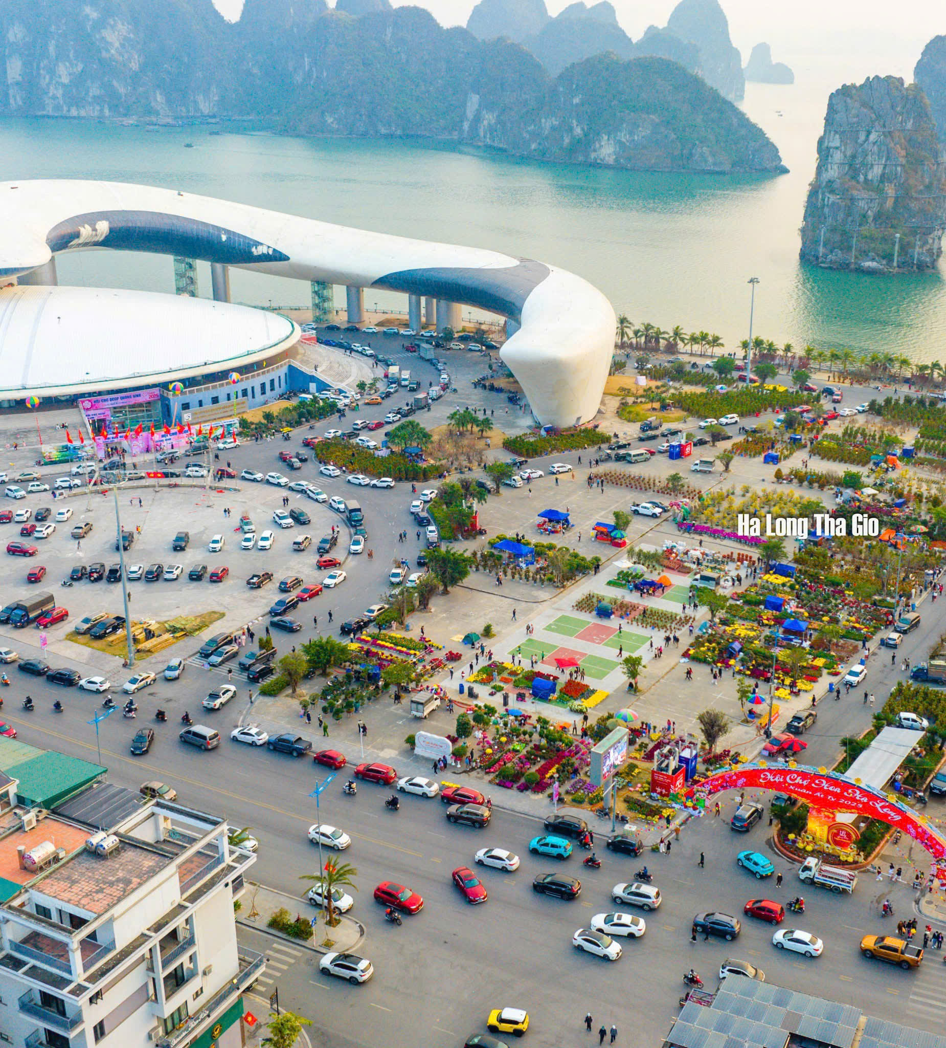 Quảng Ninh: Đào quất đắt hàng, người bán lãi cả trăm triệu đồng- Ảnh 1. Quảng Ninh: Đào quất đắt hàng, người bán lãi cả trăm triệu đồng- Ảnh 1.