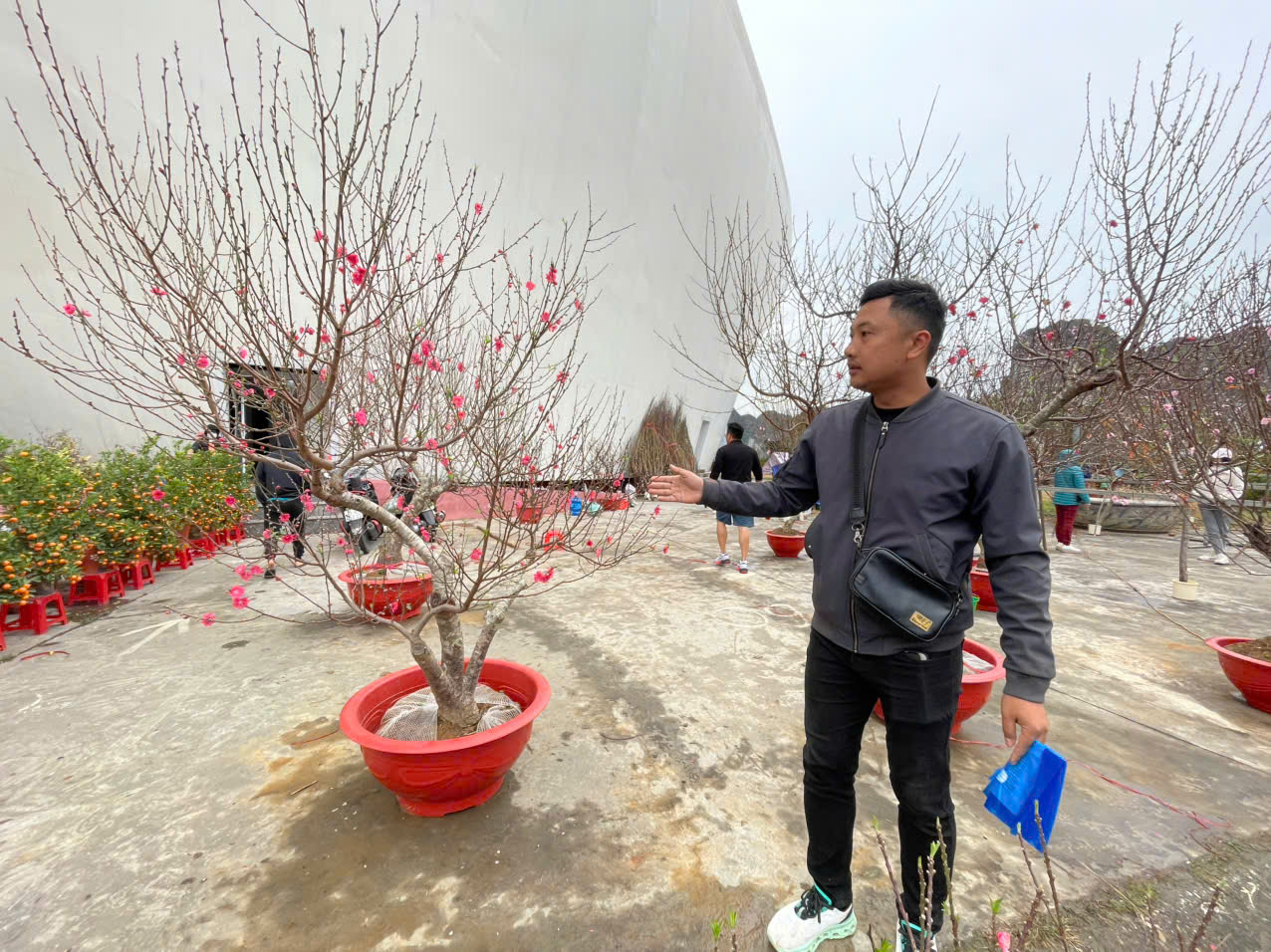 Quảng Ninh: Đào quất đắt hàng, người bán lãi cả trăm triệu đồng- Ảnh 2. Quảng Ninh: Đào quất đắt hàng, người bán lãi cả trăm triệu đồng- Ảnh 2.