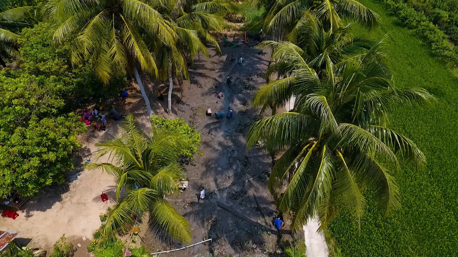 Về miền T&acirc;y t&aacute;t đ&igrave;a ăn Tết- Ảnh 4.