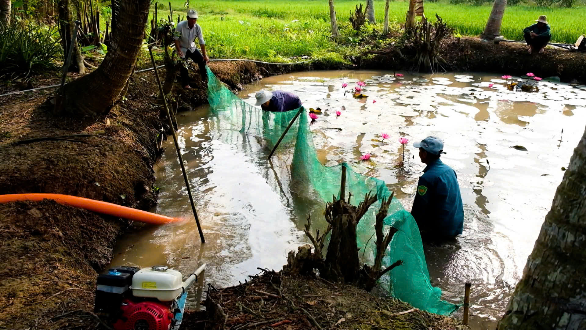 Về miền T&acirc;y t&aacute;t đ&igrave;a ăn Tết- Ảnh 3.