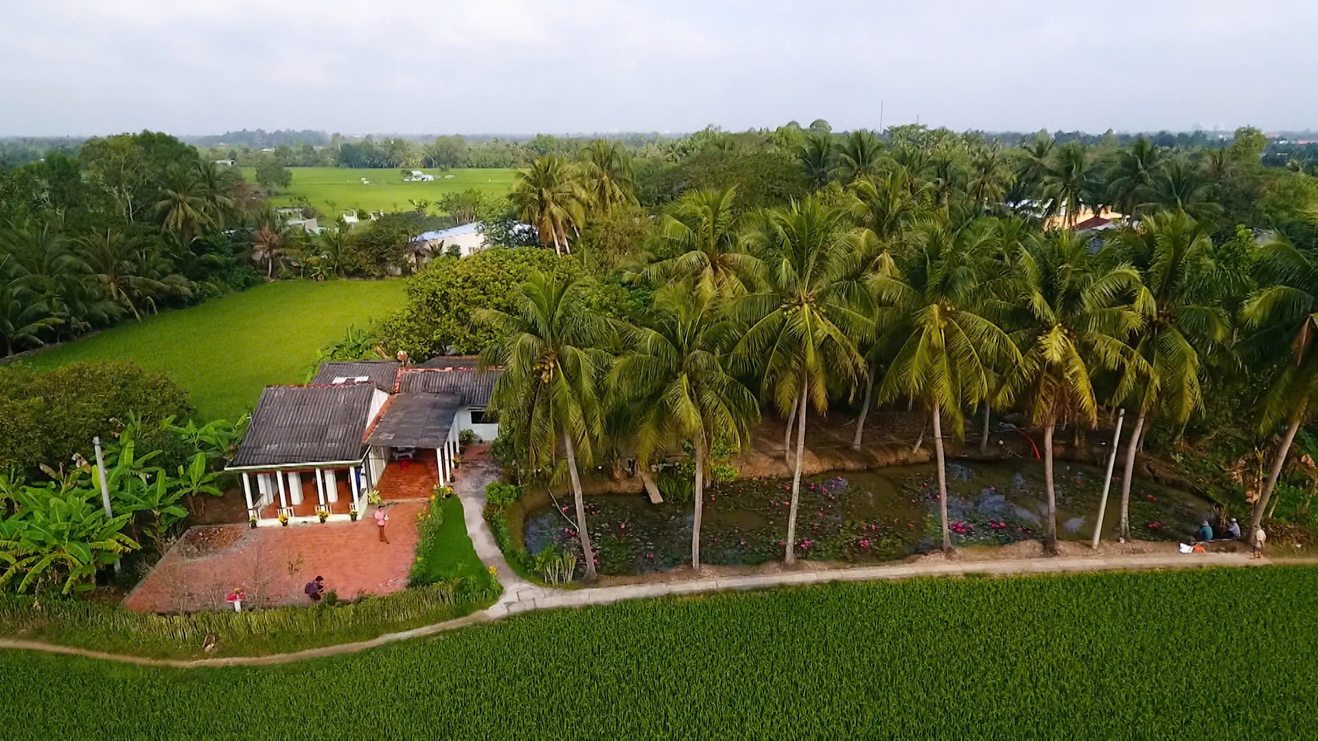 Về miền T&acirc;y t&aacute;t đ&igrave;a ăn Tết- Ảnh 1.