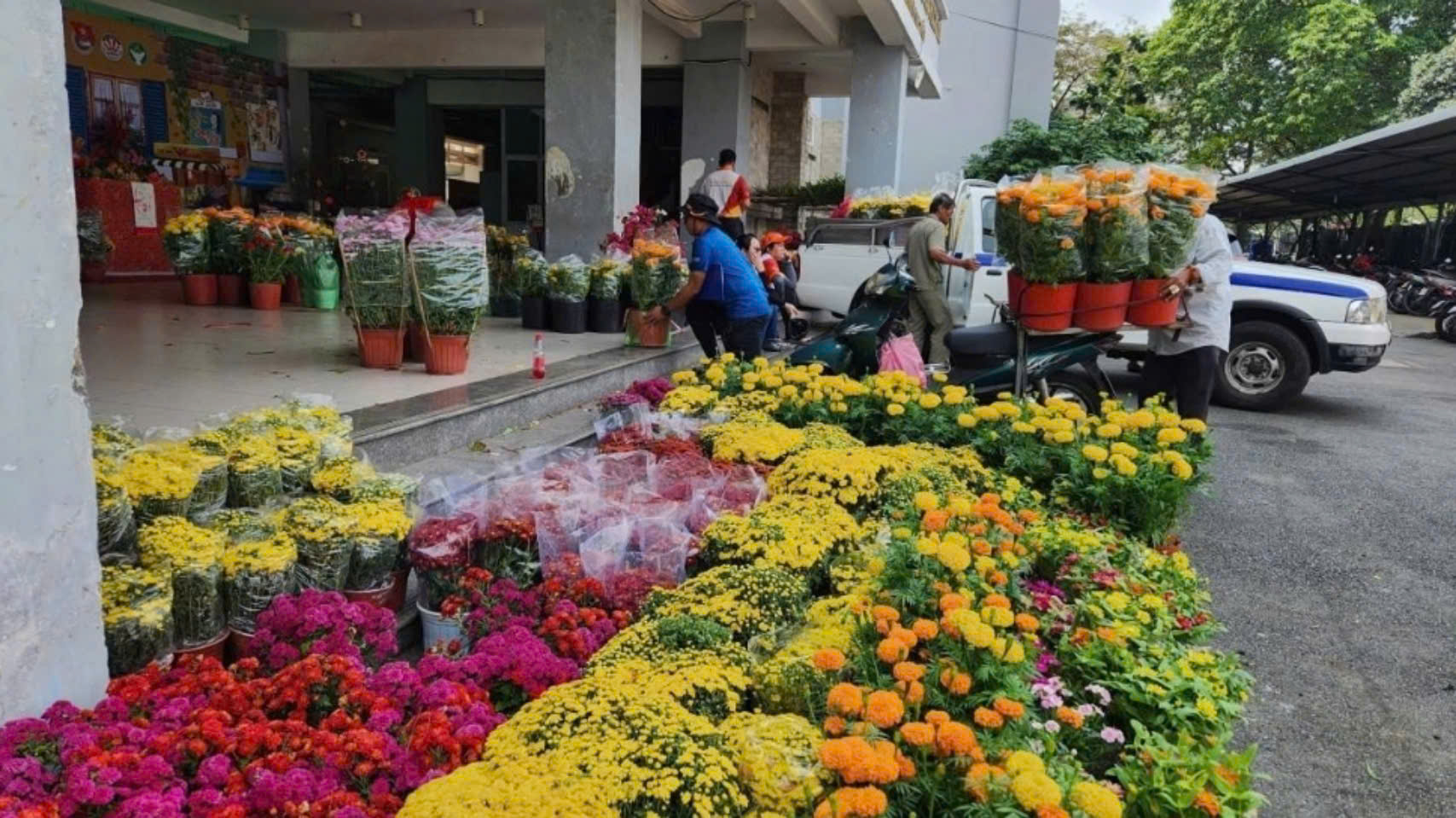 Chiều 29 Tết: L&atilde;nh đạo TP.HCM mua lại hoa của tiểu thương tặng người d&acirc;n kh&oacute; khăn- Ảnh 3.