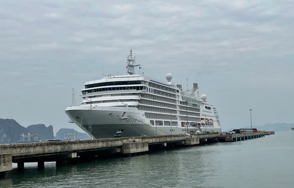 Quảng Ninh: Si&ecirc;u du thuyền đưa hơn 550 kh&aacute;ch &Acirc;u, Mỹ x&ocirc;ng đất vịnh Hạ Long- Ảnh 3.