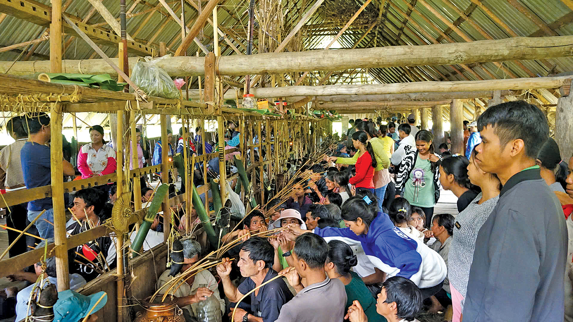 Ăn Tết con d&uacute;i giữa đại ng&agrave;n T&acirc;y Nguy&ecirc;n- Ảnh 2.