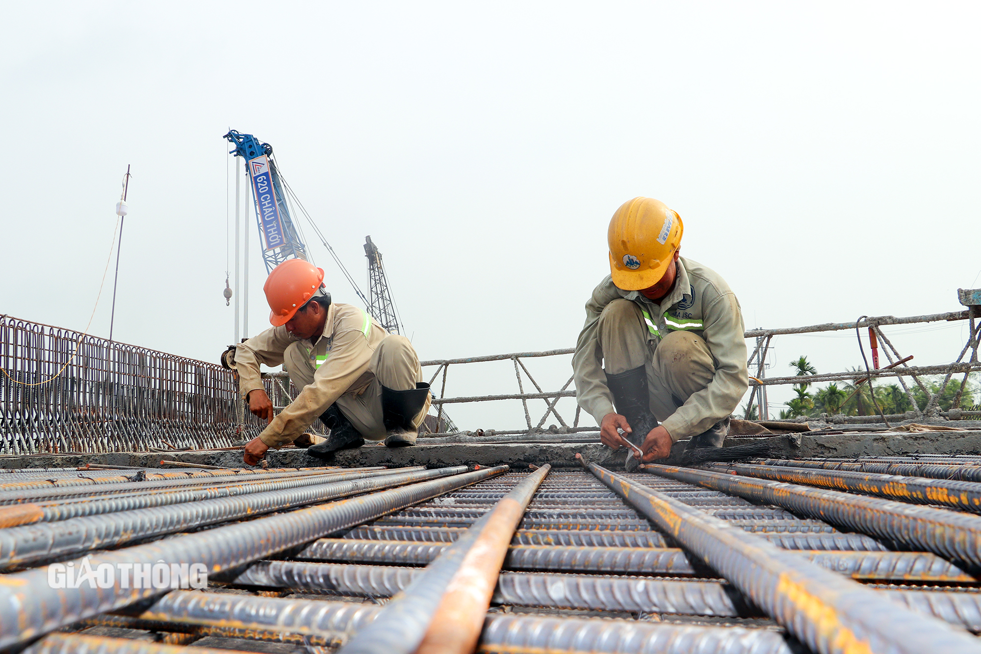 Xu&acirc;n tr&ecirc;n hai đại c&ocirc;ng trường cao tốc miền T&acirc;y- Ảnh 5.