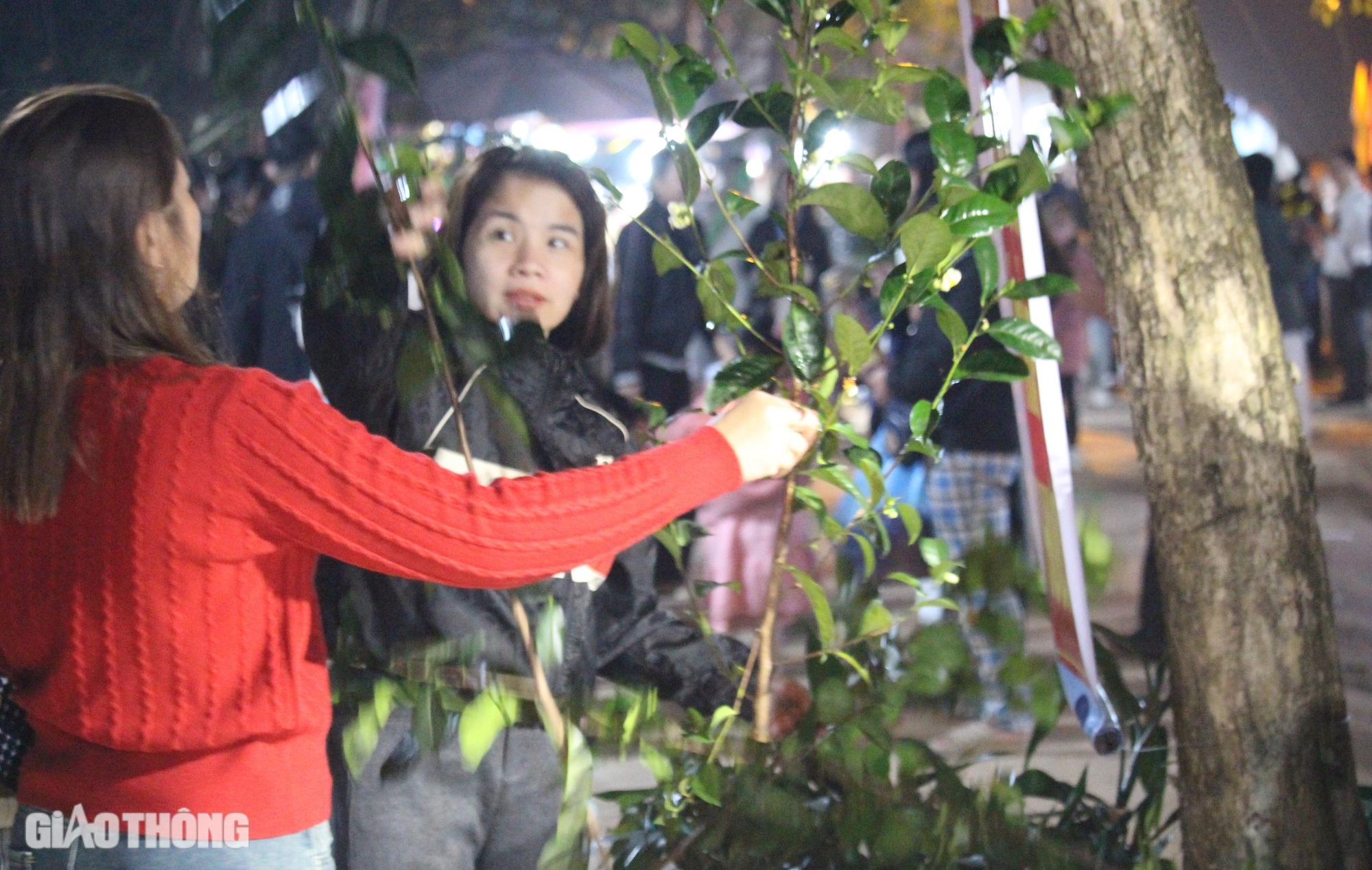 Độc đáo phiên chợ mỗi năm họp một lần lúc nửa đêm ở Quảng Trị- Ảnh 2. Độc đáo phiên chợ mỗi năm họp một lần lúc nửa đêm ở Quảng Trị- Ảnh 2.