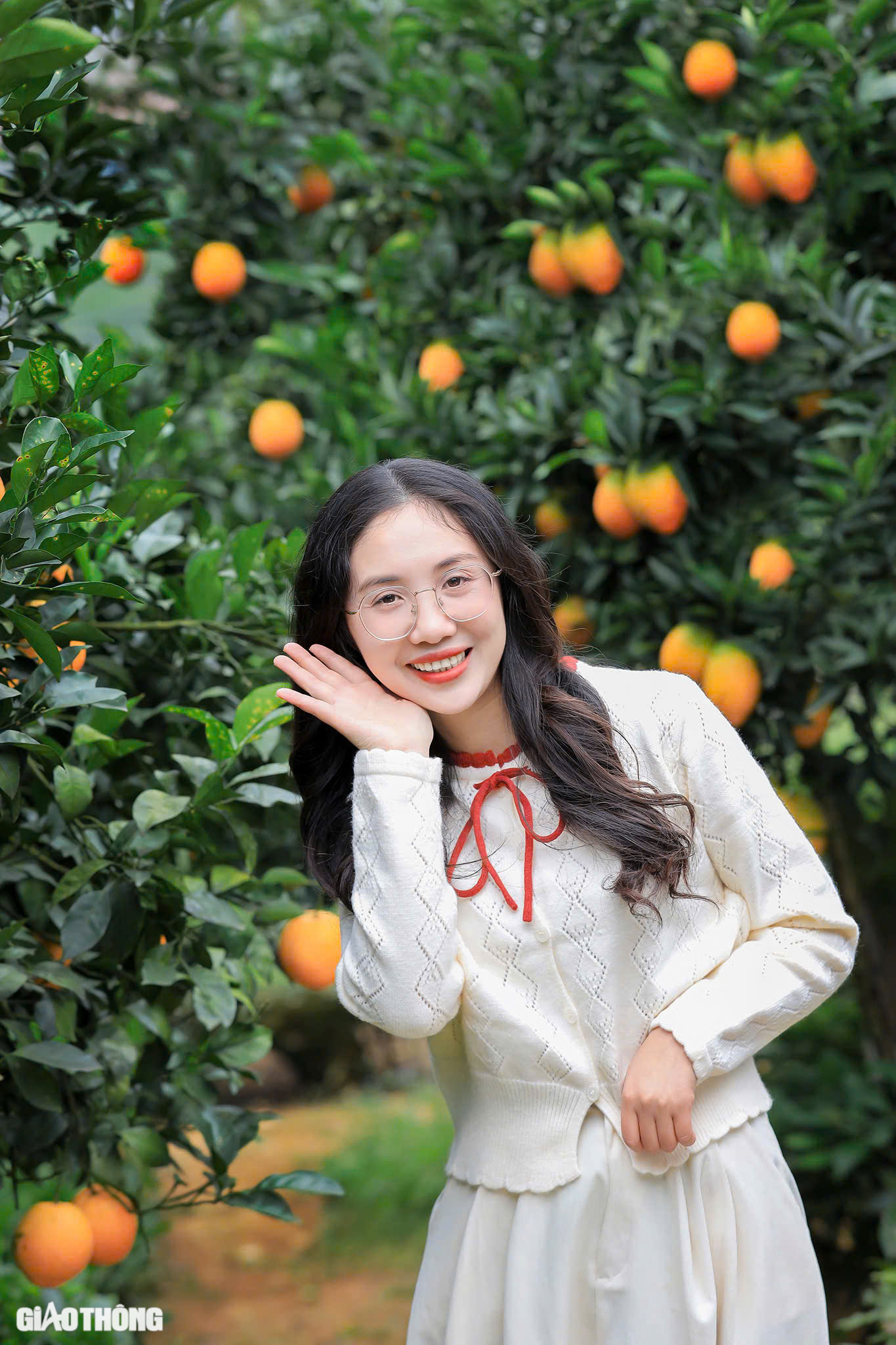 Du kh&aacute;ch th&iacute;ch th&uacute; "săn" ảnh với hoa cải trắng, vườn cam v&agrave;ng ở Mộc Ch&acirc;u- Ảnh 8.