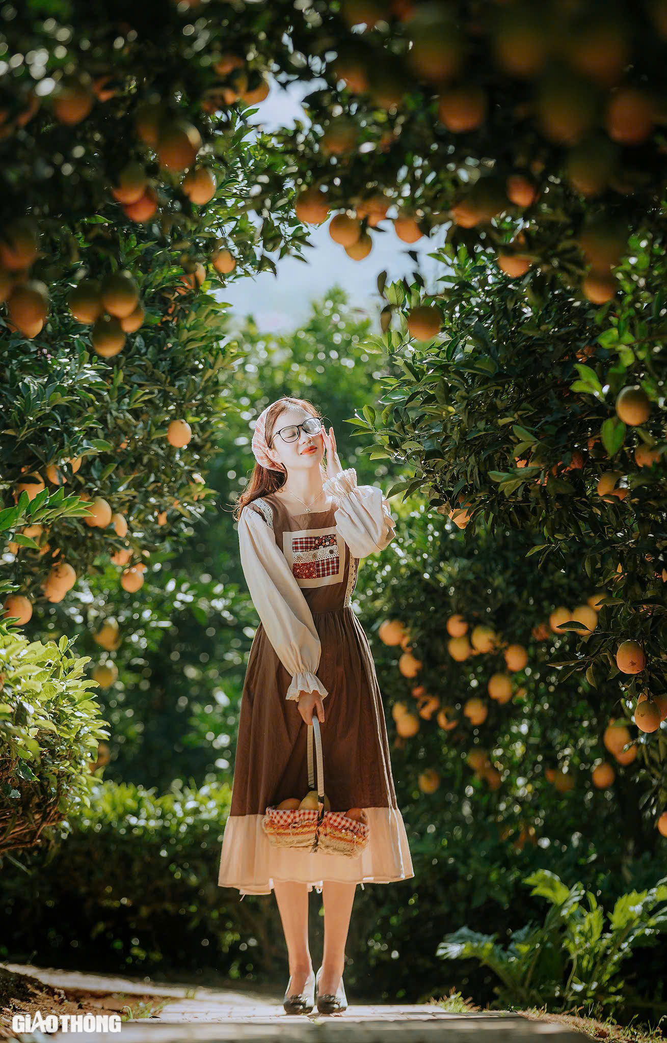 Du kh&aacute;ch th&iacute;ch th&uacute; "săn" ảnh với hoa cải trắng, vườn cam v&agrave;ng ở Mộc Ch&acirc;u- Ảnh 7.