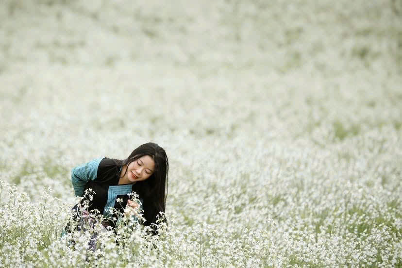 Du kh&aacute;ch th&iacute;ch th&uacute; "săn" ảnh với hoa cải trắng, vườn cam v&agrave;ng ở Mộc Ch&acirc;u- Ảnh 4.