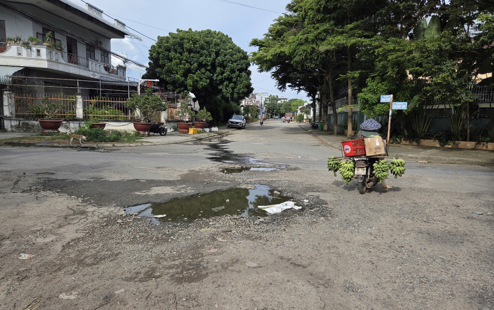 V&igrave; sao Quảng Ng&atilde;i xin hủy dự &aacute;n cải tạo m&ocirc;i trường, hạ tầng đ&ocirc; thị hơn 800 tỷ đồng?- Ảnh 3.