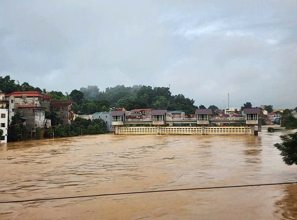 Cao Bằng: Gần 2.000 nh&agrave; bị ảnh hưởng do mưa lũ, lực lượng chức năng trắng đ&ecirc;m hỗ trợ- Ảnh 6.