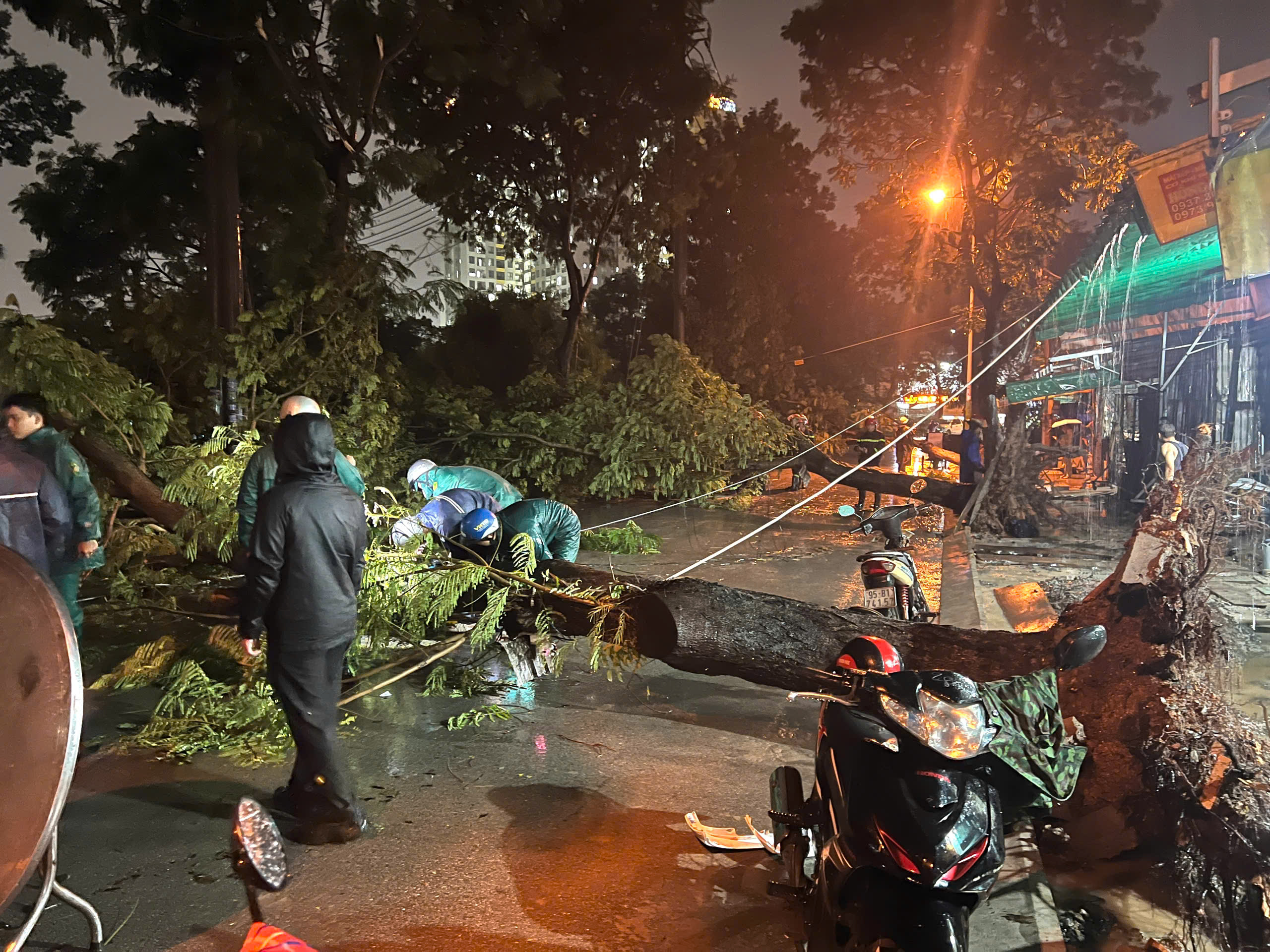 TP.HCM: B&agrave; đ&oacute;n ch&aacute;u đi học về, bị c&acirc;y đổ đ&egrave; trọng thương- Ảnh 1.