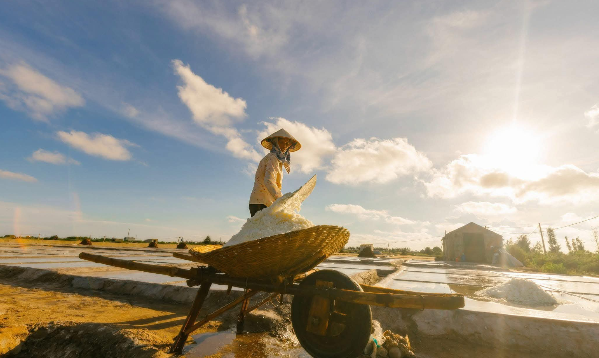 Một địa phương tại Ninh B&igrave;nh phấn đấu đạt x&atilde; n&ocirc;ng th&ocirc;n mới th&ocirc;ng minh- Ảnh 7.