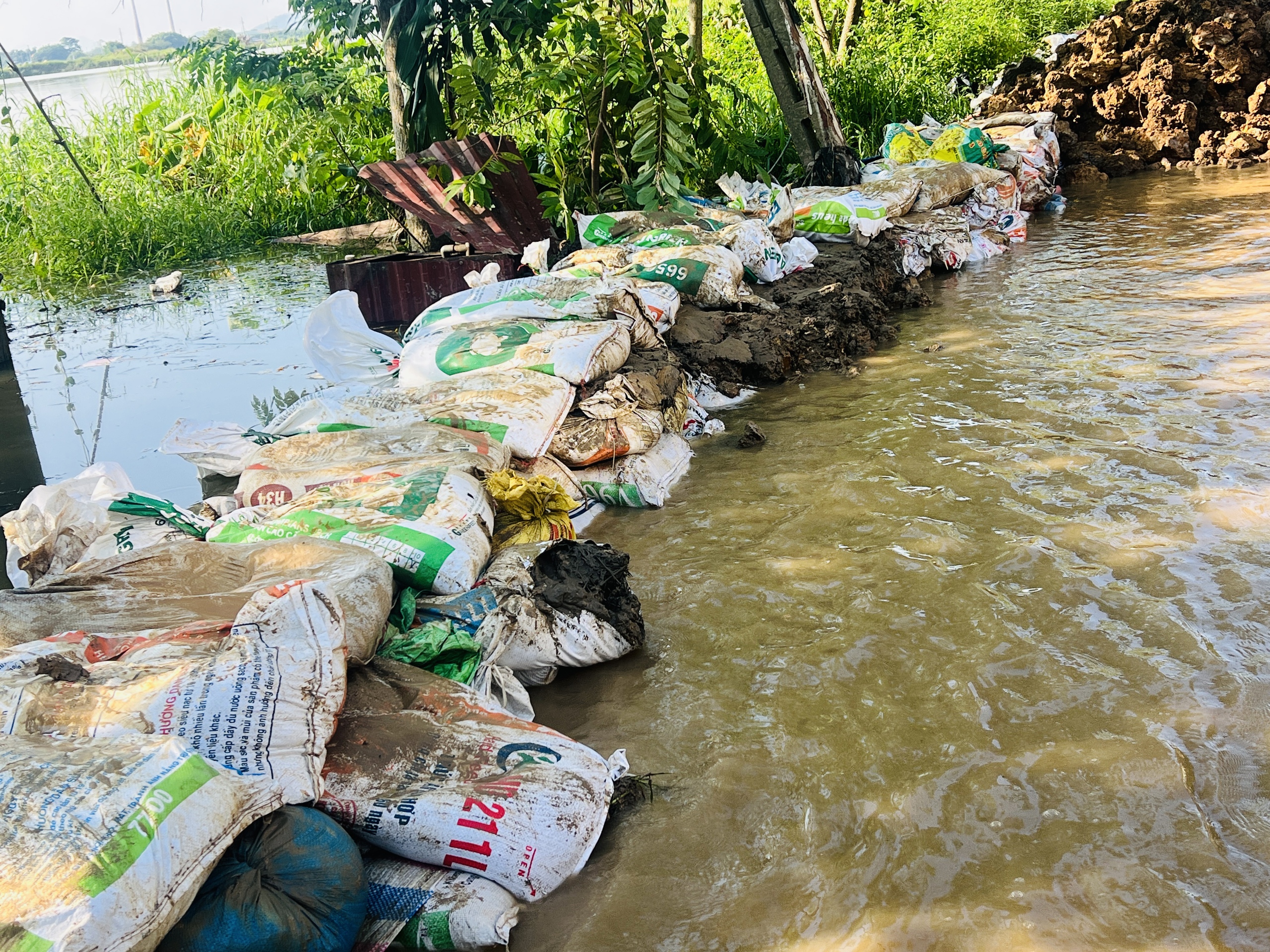 Hà Nội: Người dân xã Đa Phúc gồng mình chống chọi trận lụt lịch sử- Ảnh 9. Hà Nội: Người dân xã Đa Phúc gồng mình chống chọi trận lụt lịch sử- Ảnh 9.