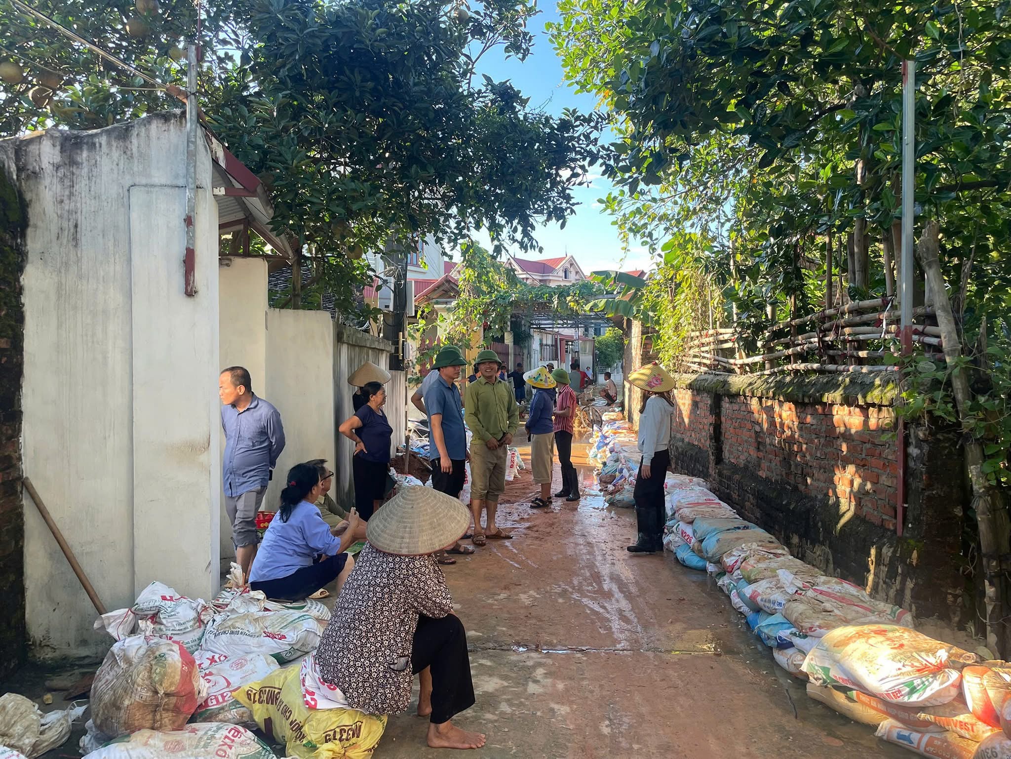 Hà Nội: Người dân xã Đa Phúc gồng mình chống chọi trận lụt lịch sử- Ảnh 10. Hà Nội: Người dân xã Đa Phúc gồng mình chống chọi trận lụt lịch sử- Ảnh 10.