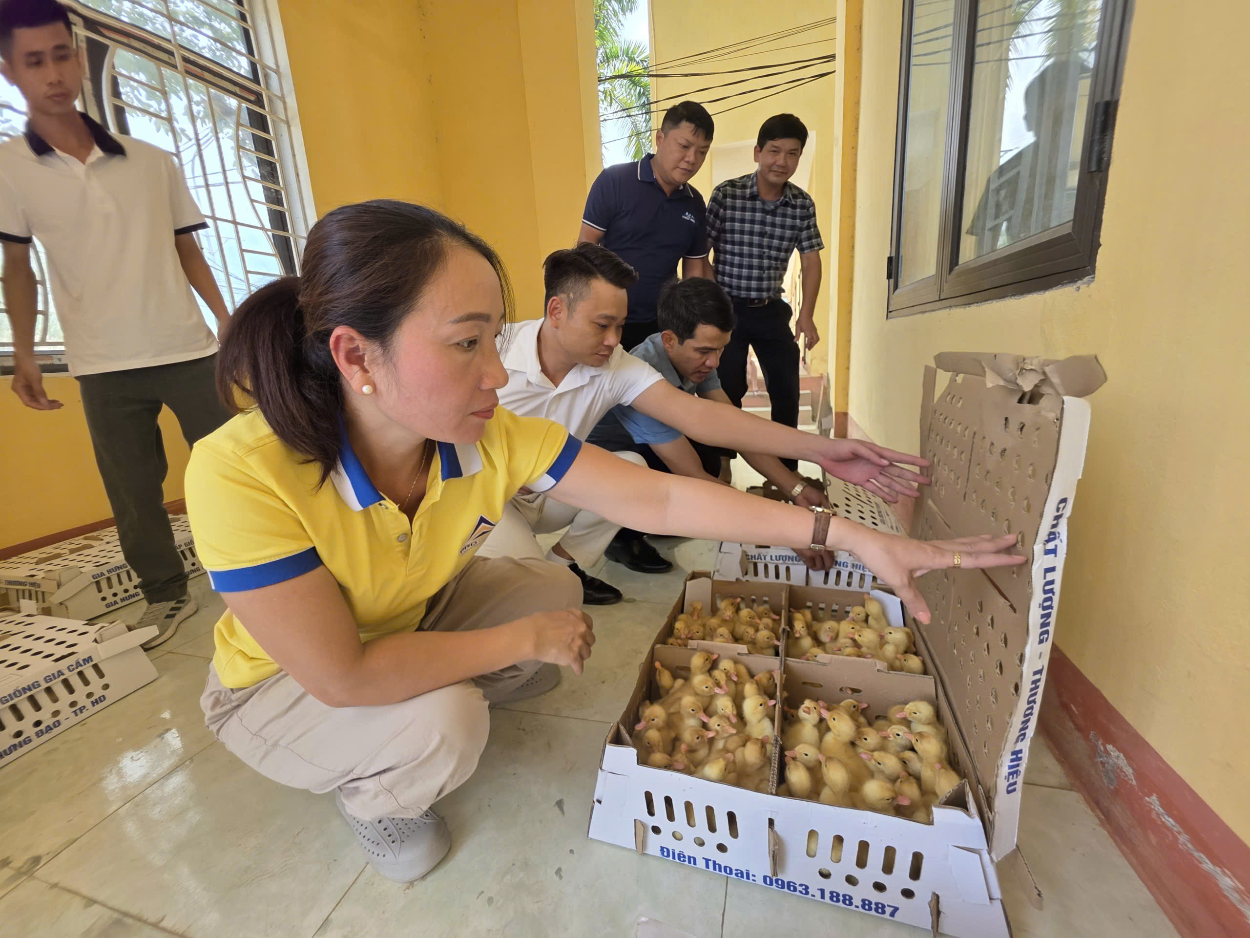 L&agrave;o Cai: Sau lũ ống, nhiều bản vực dậy từ b&ugrave;n đất- Ảnh 6.