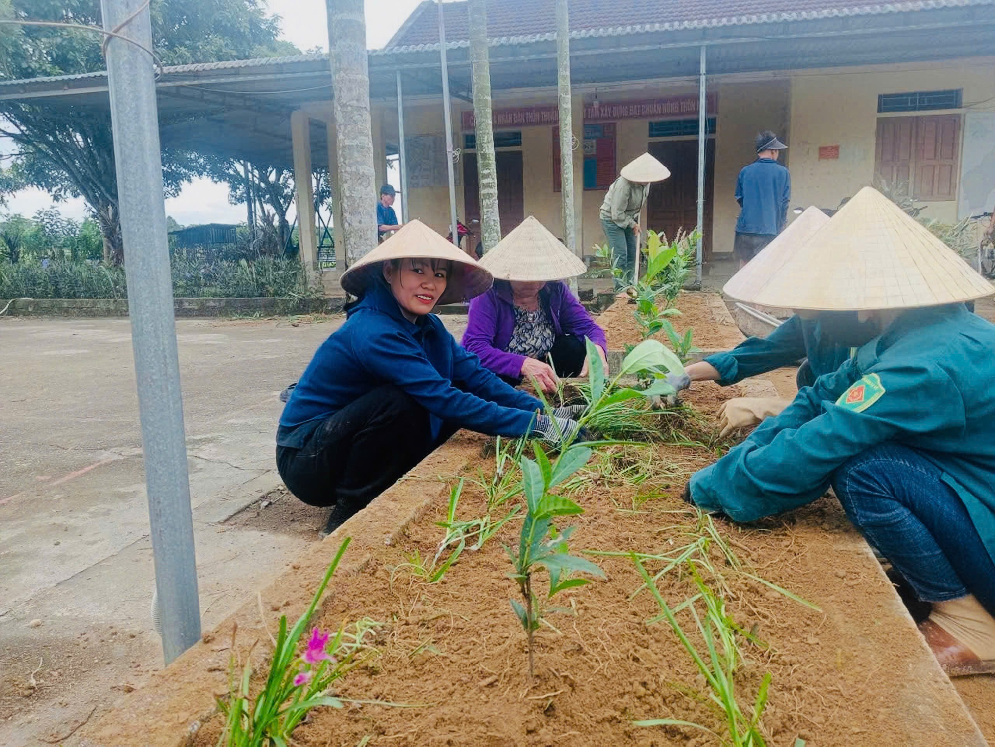 H&agrave; Tĩnh: X&atilde; Hương Xu&acirc;n bứt ph&aacute;, thực hiện mục ti&ecirc;u n&ocirc;ng th&ocirc;n mới n&acirc;ng cao sau s&aacute;p nhập- Ảnh 3.